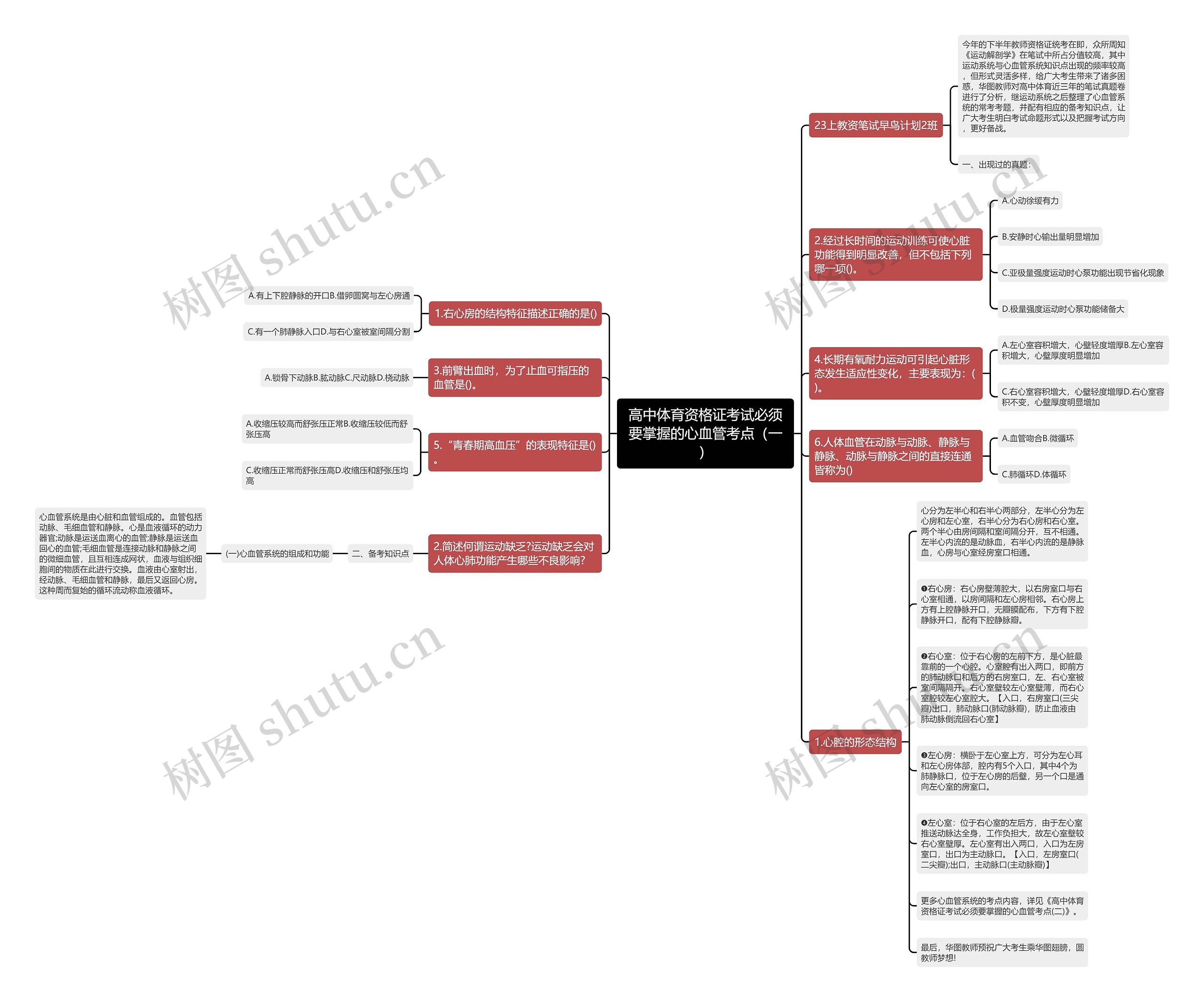 高中体育资格证考试必须要掌握的心血管考点（一）思维导图