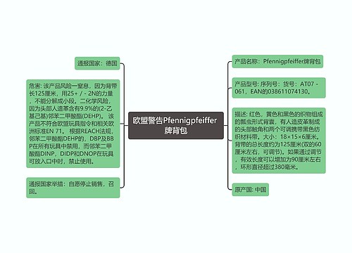 欧盟警告Pfennigpfeiffer 牌背包