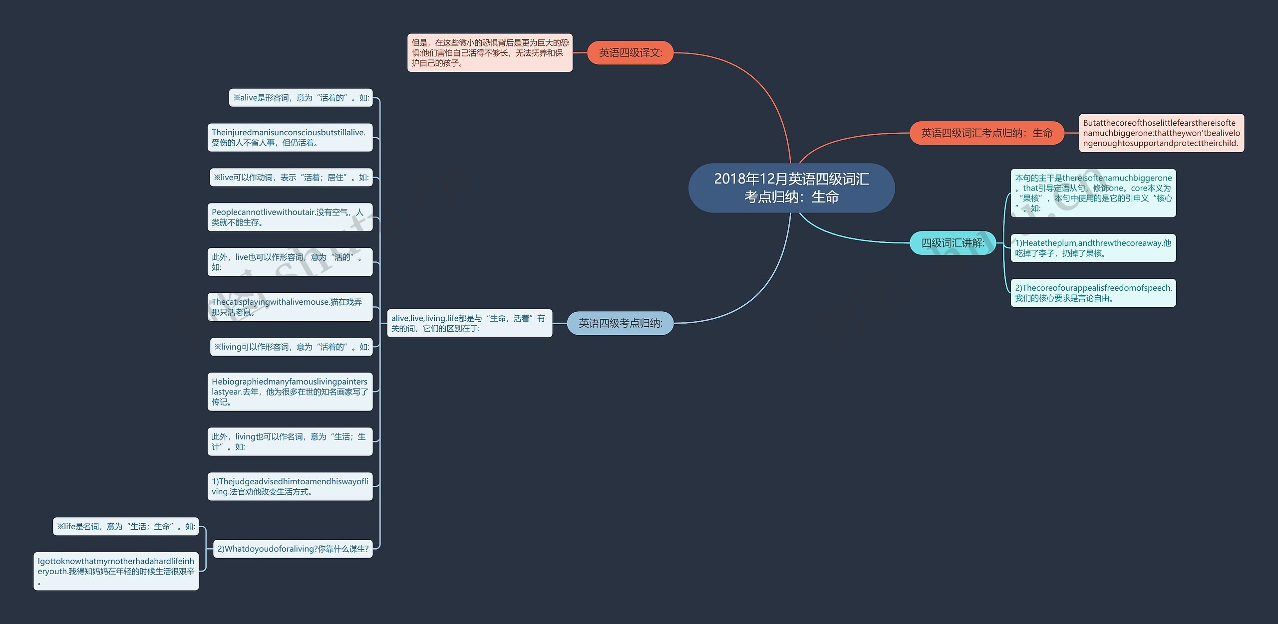 2018年12月英语四级词汇考点归纳：生命思维导图