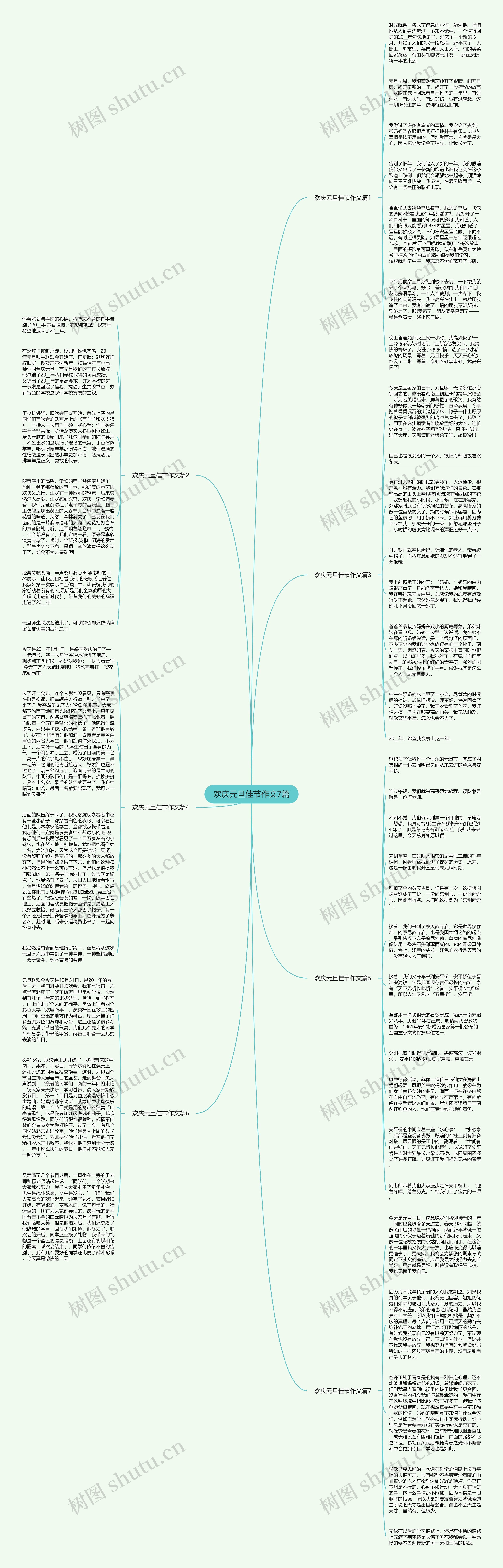欢庆元旦佳节作文7篇思维导图