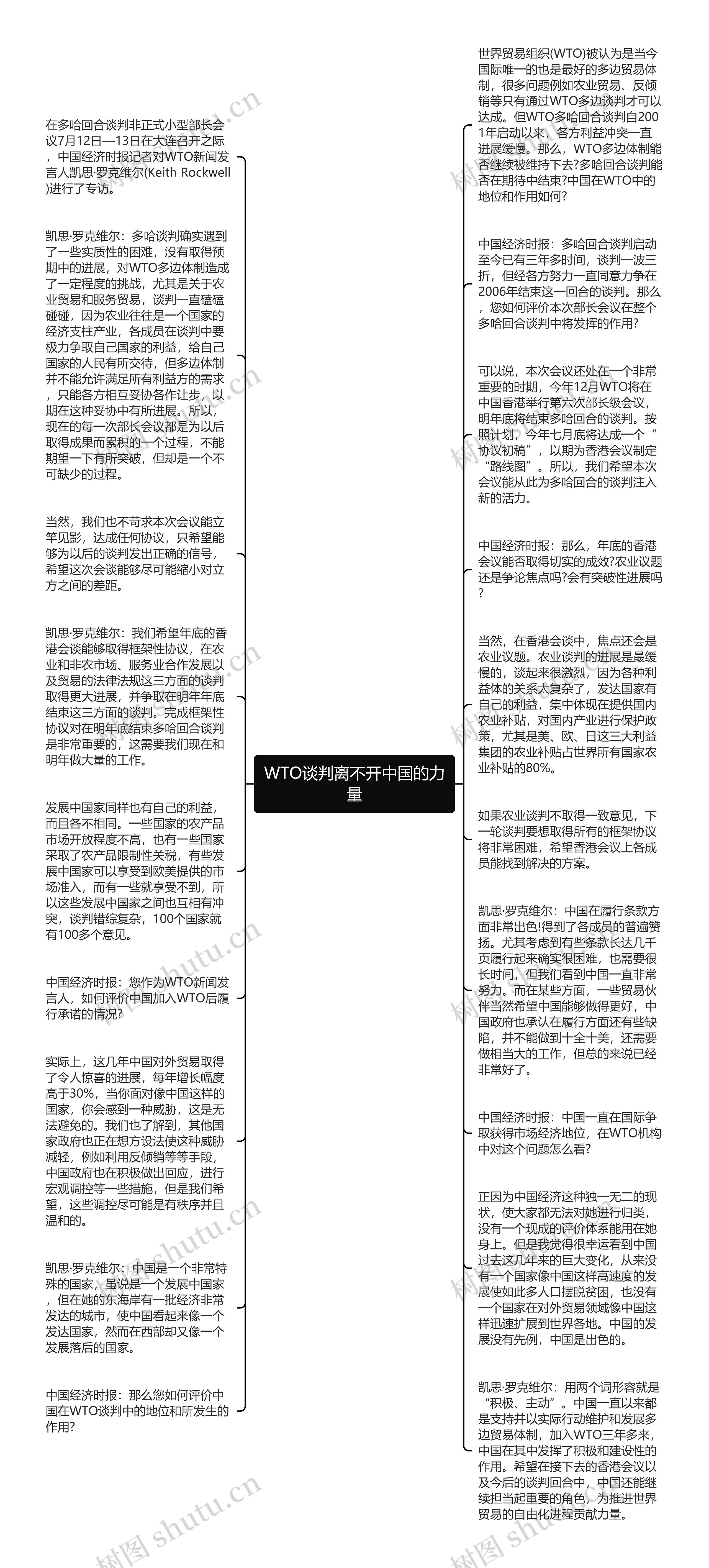 WTO谈判离不开中国的力量