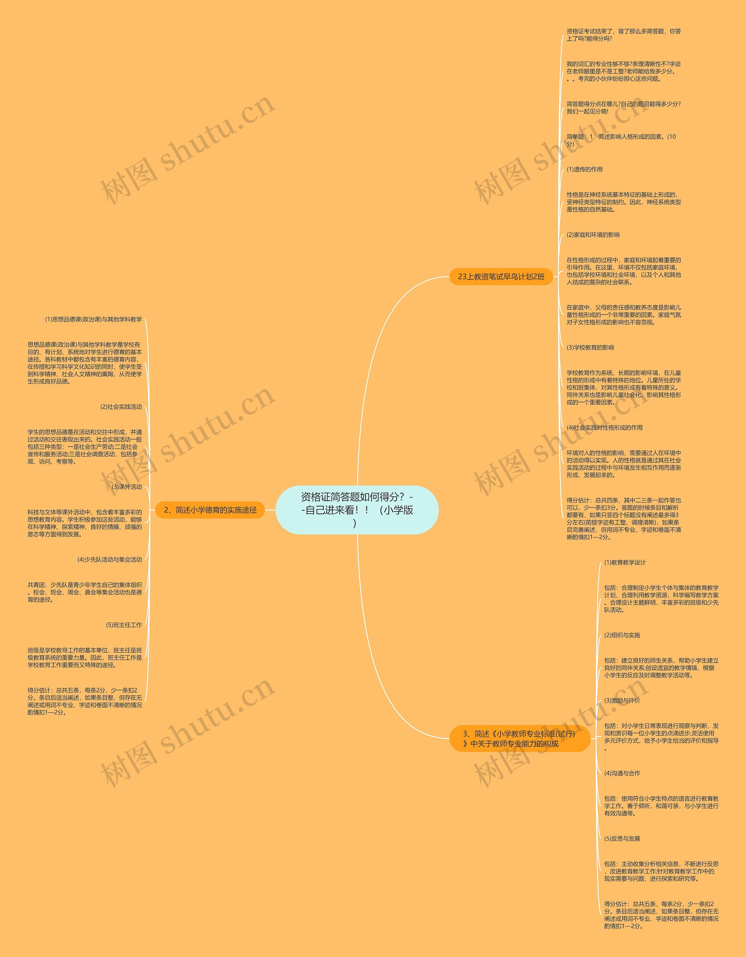 资格证简答题如何得分？--自己进来看！！（小学版）思维导图