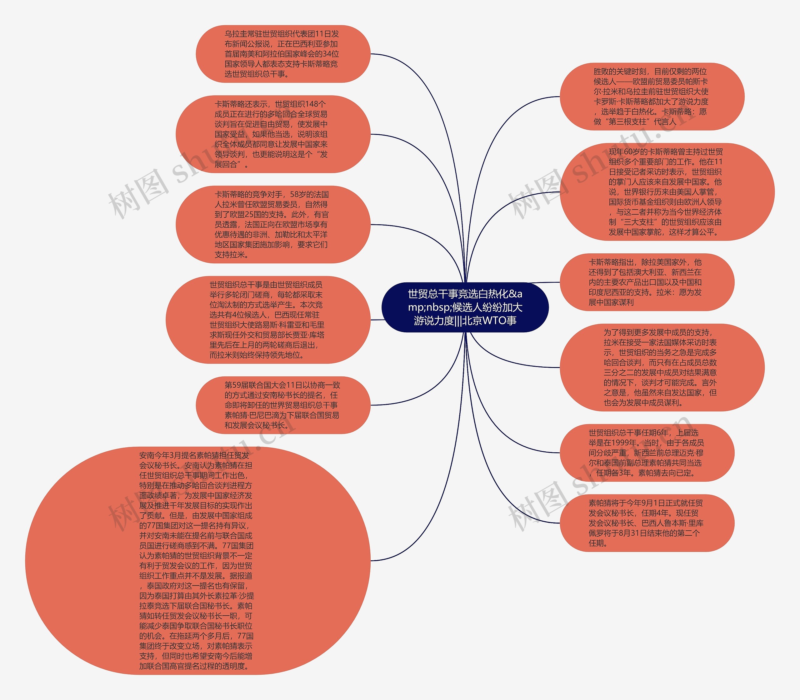 世贸总干事竞选白热化&amp;nbsp;候选人纷纷加大游说力度|||北京WTO事思维导图