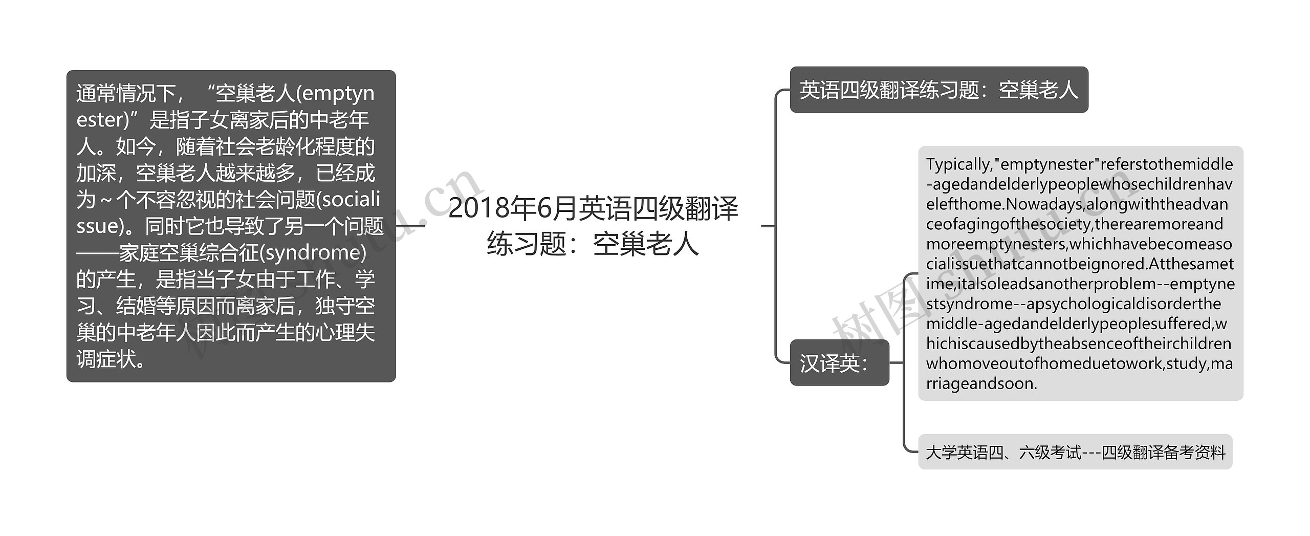 2018年6月英语四级翻译练习题：空巢老人思维导图