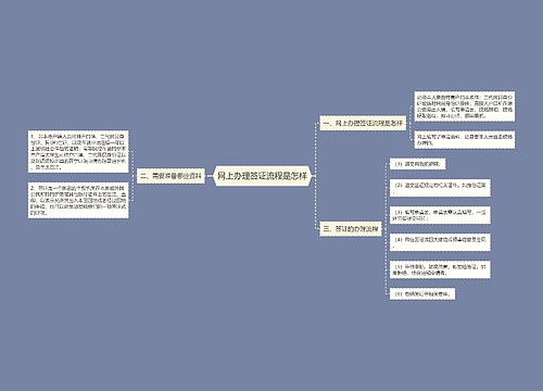 网上办理签证流程是怎样