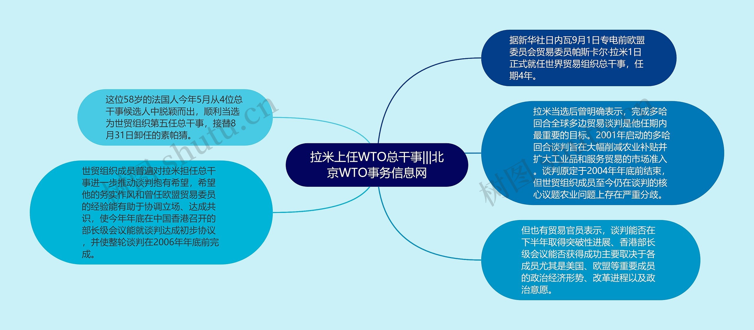 拉米上任WTO总干事|||北京WTO事务信息网思维导图