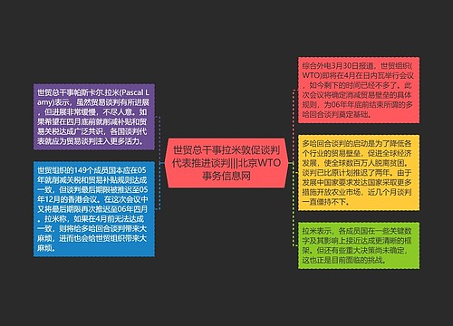 世贸总干事拉米敦促谈判代表推进谈判|||北京WTO事务信息网