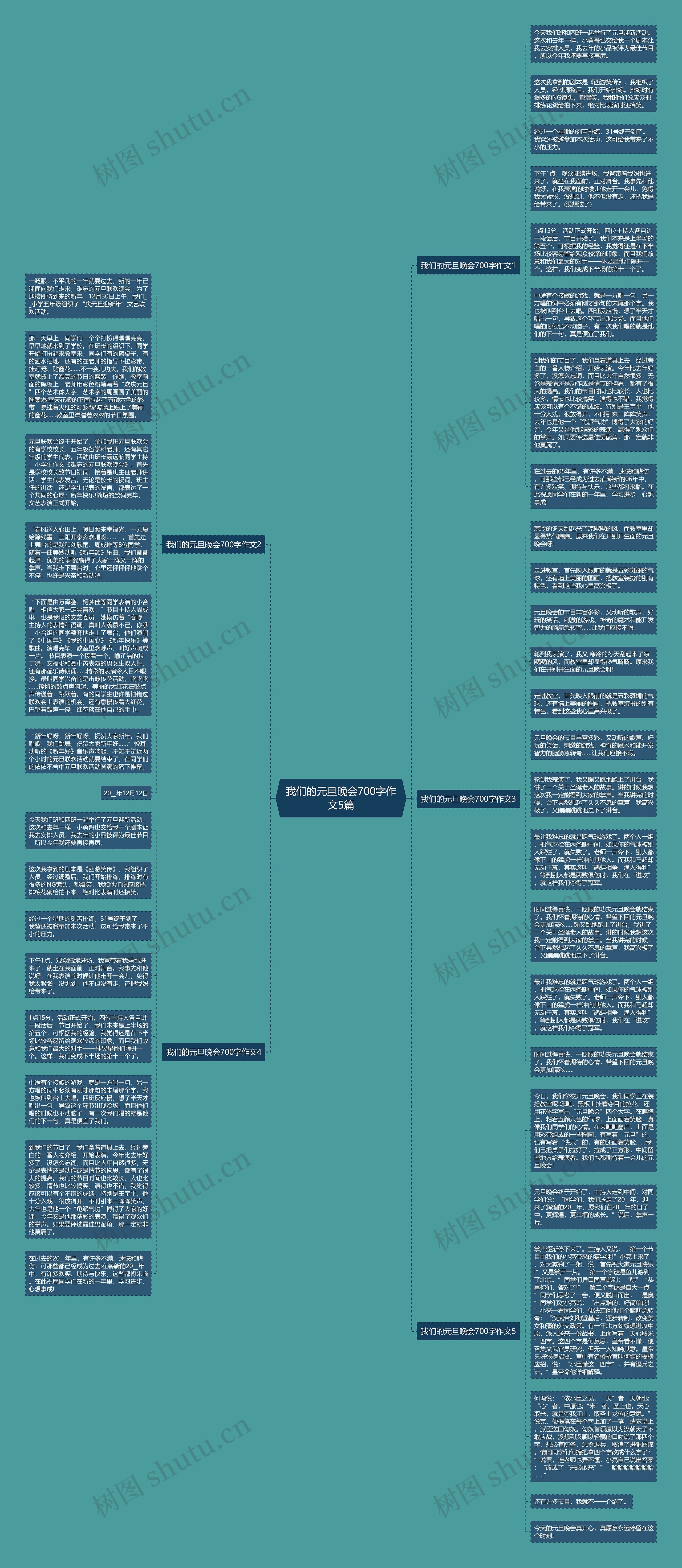我们的元旦晚会700字作文5篇思维导图