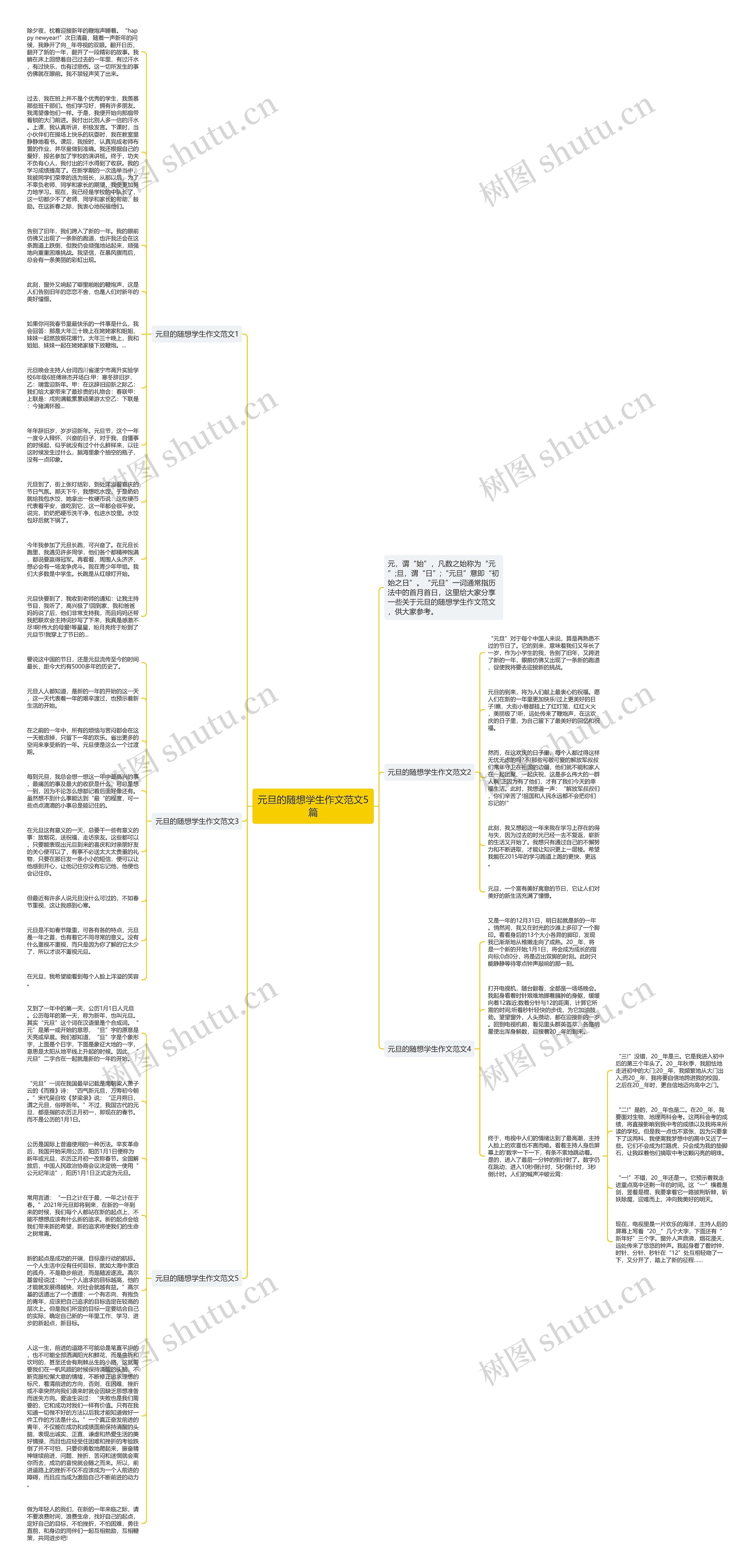 元旦的随想学生作文范文5篇思维导图