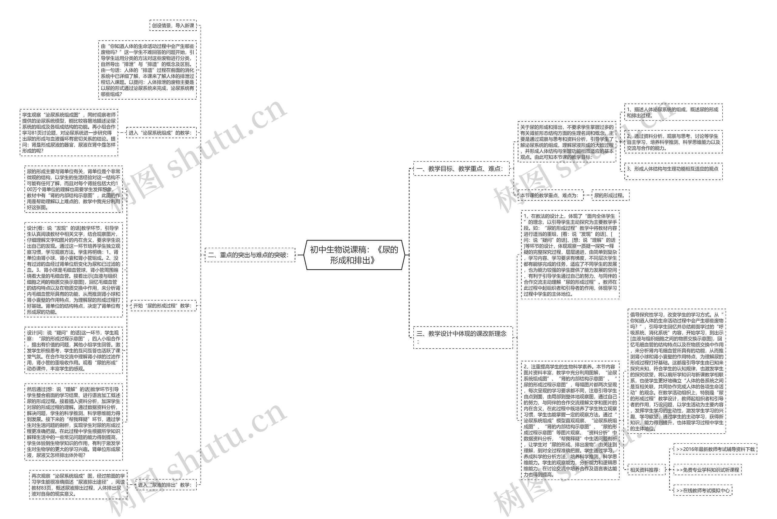 初中生物说课稿：《尿的形成和排出》思维导图