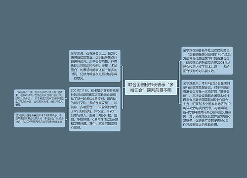 联合国副秘书长表示“多哈回合”谈判前景不明