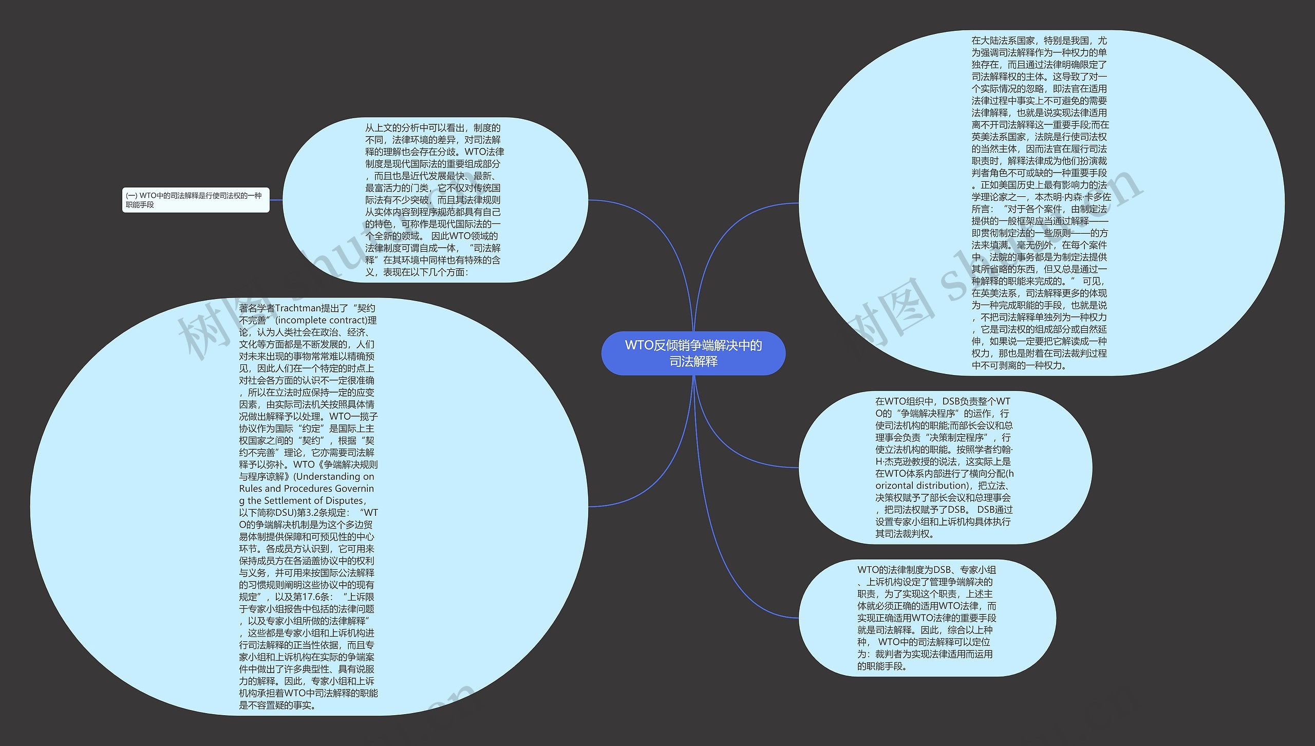 WTO反倾销争端解决中的司法解释思维导图