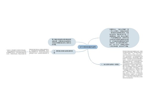 WTO规则的国内适用