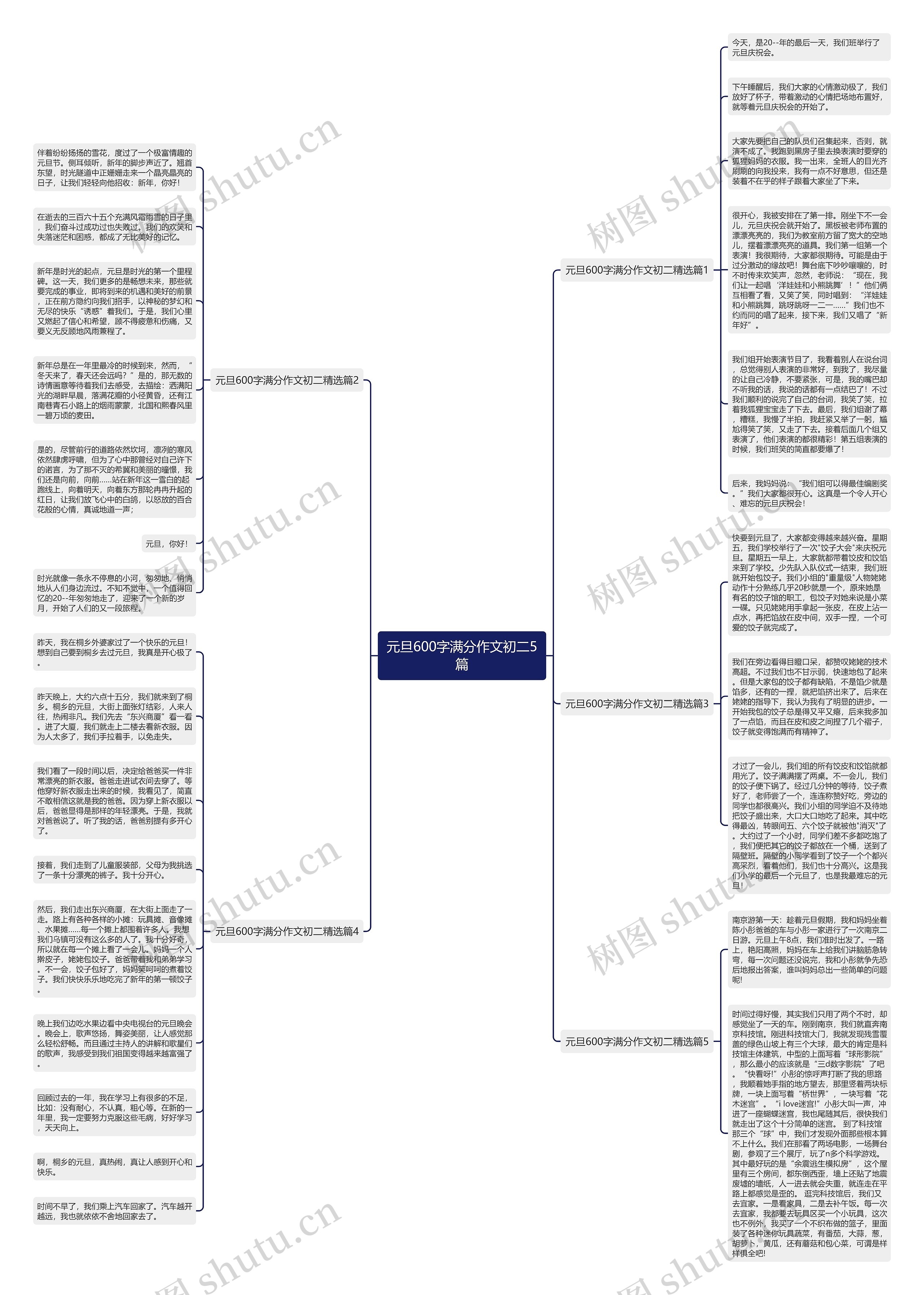 元旦600字满分作文初二5篇思维导图