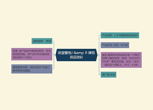 欧盟警告J &amp; R 牌男孩运动衫