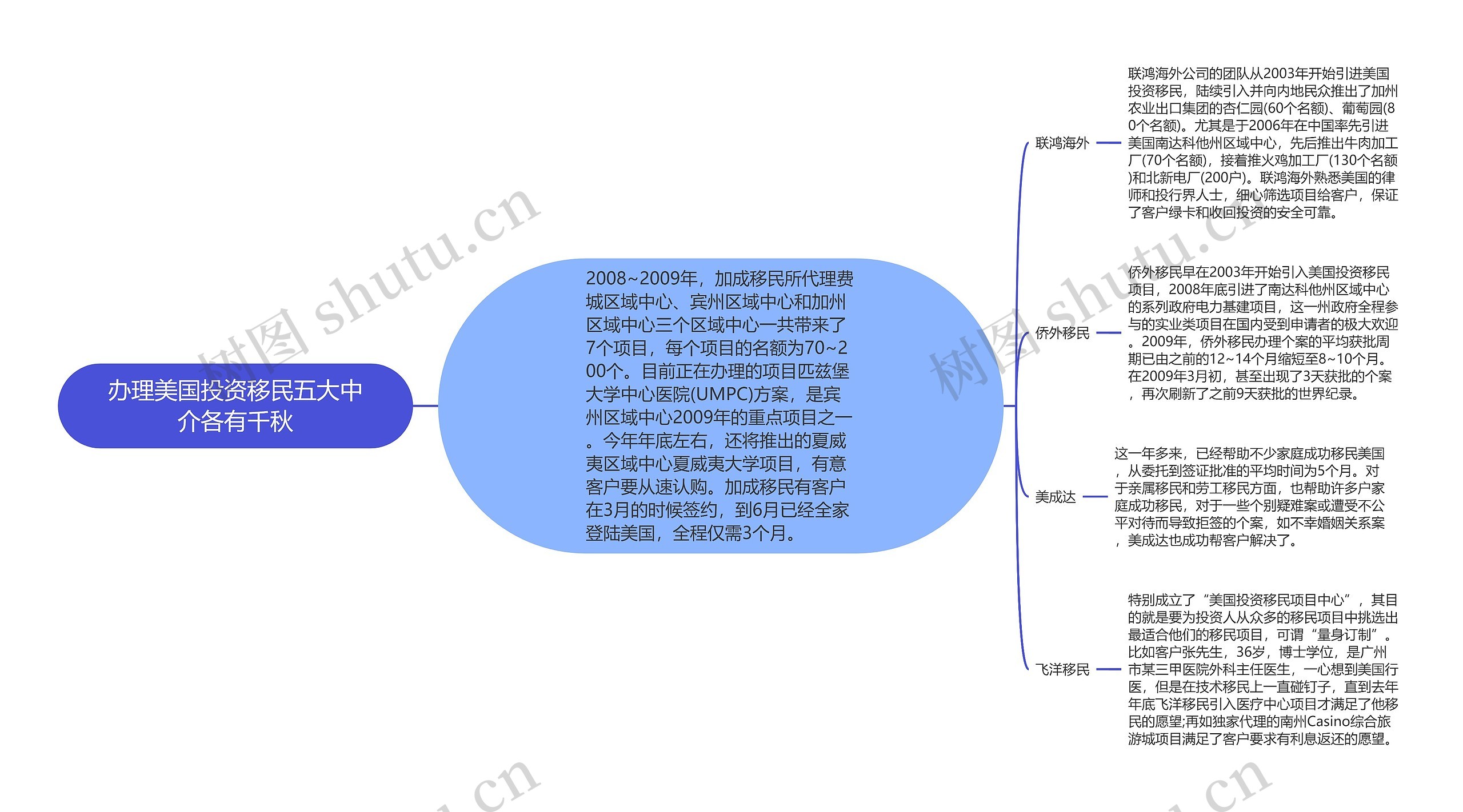 办理美国投资移民五大中介各有千秋思维导图