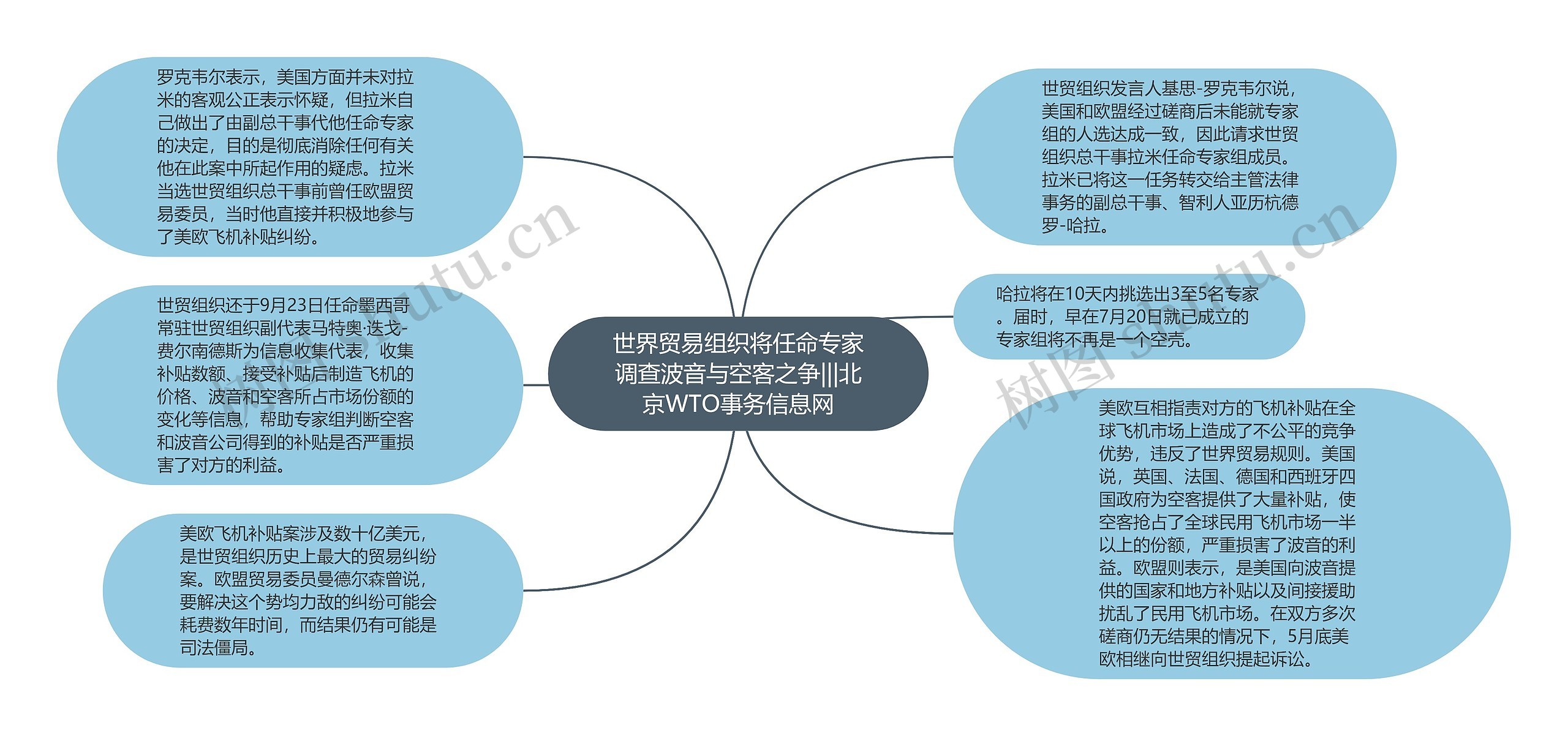 世界贸易组织将任命专家调查波音与空客之争|||北京WTO事务信息网