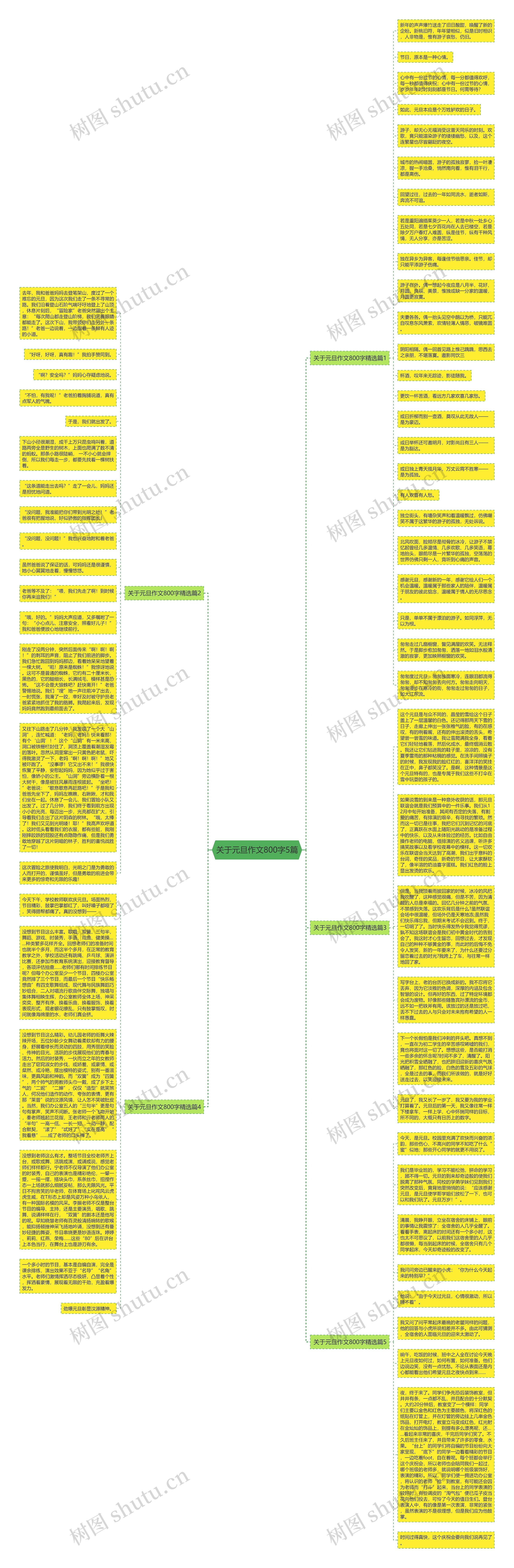 关于元旦作文800字5篇思维导图