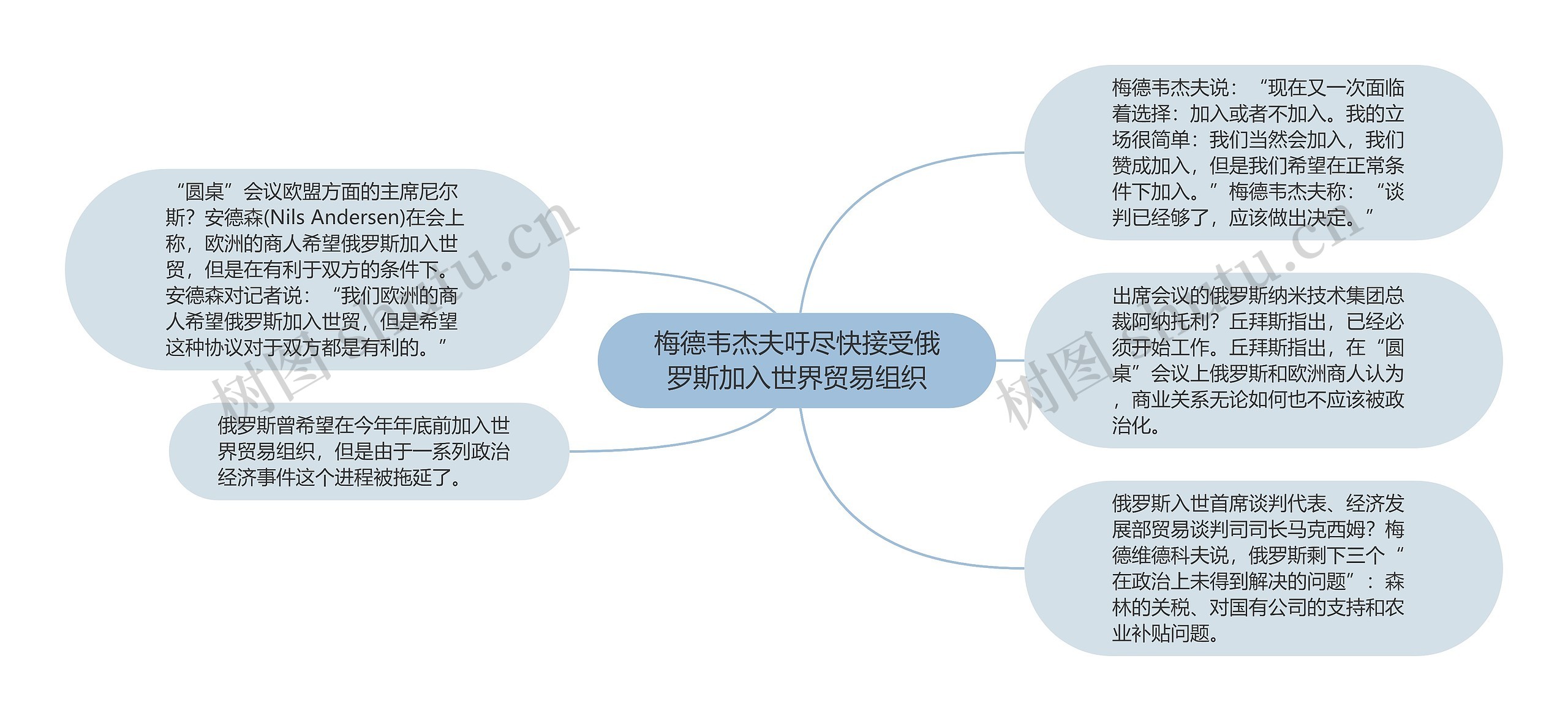 梅德韦杰夫吁尽快接受俄罗斯加入世界贸易组织思维导图