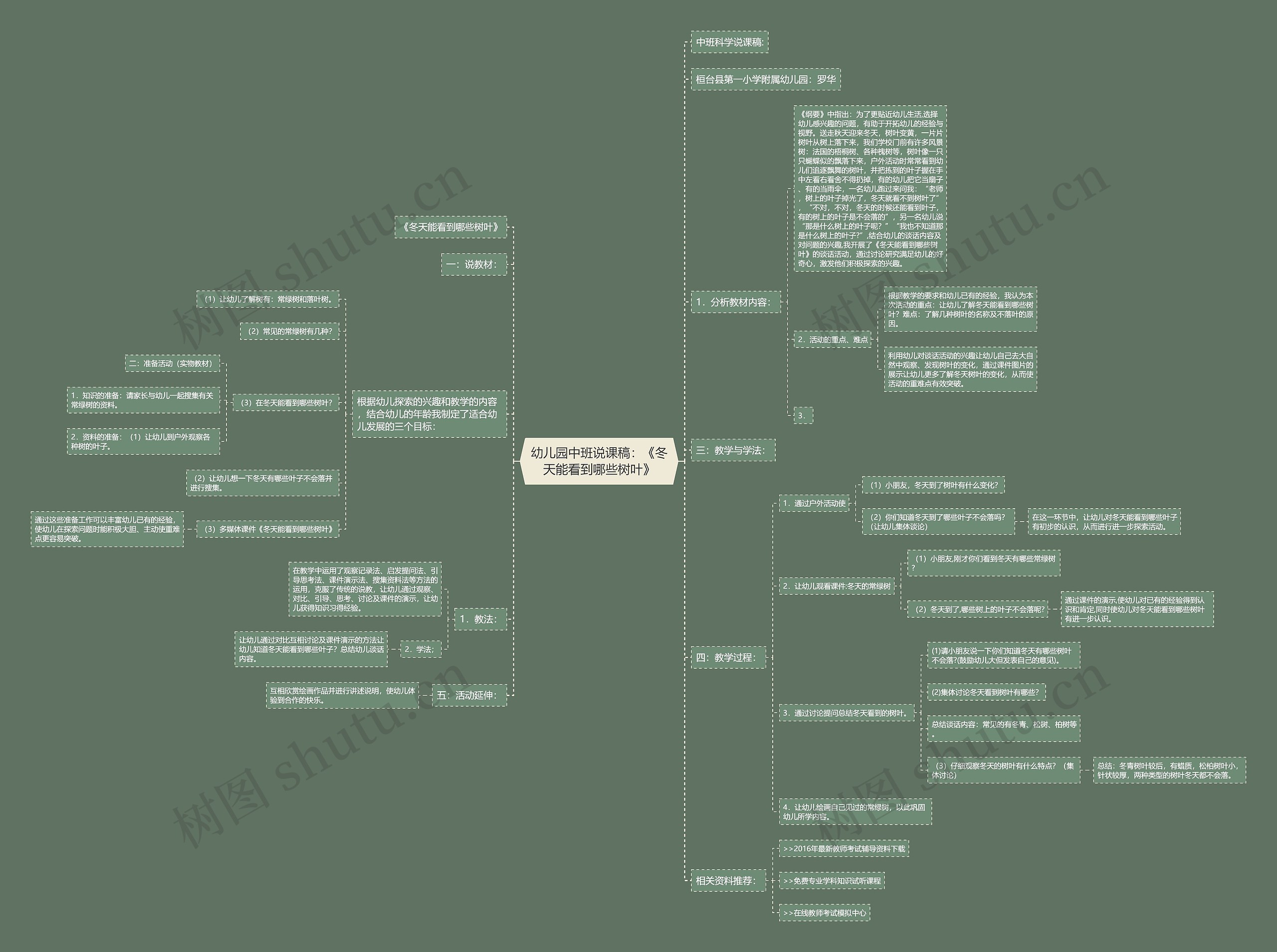 幼儿园中班说课稿：《冬天能看到哪些树叶》思维导图