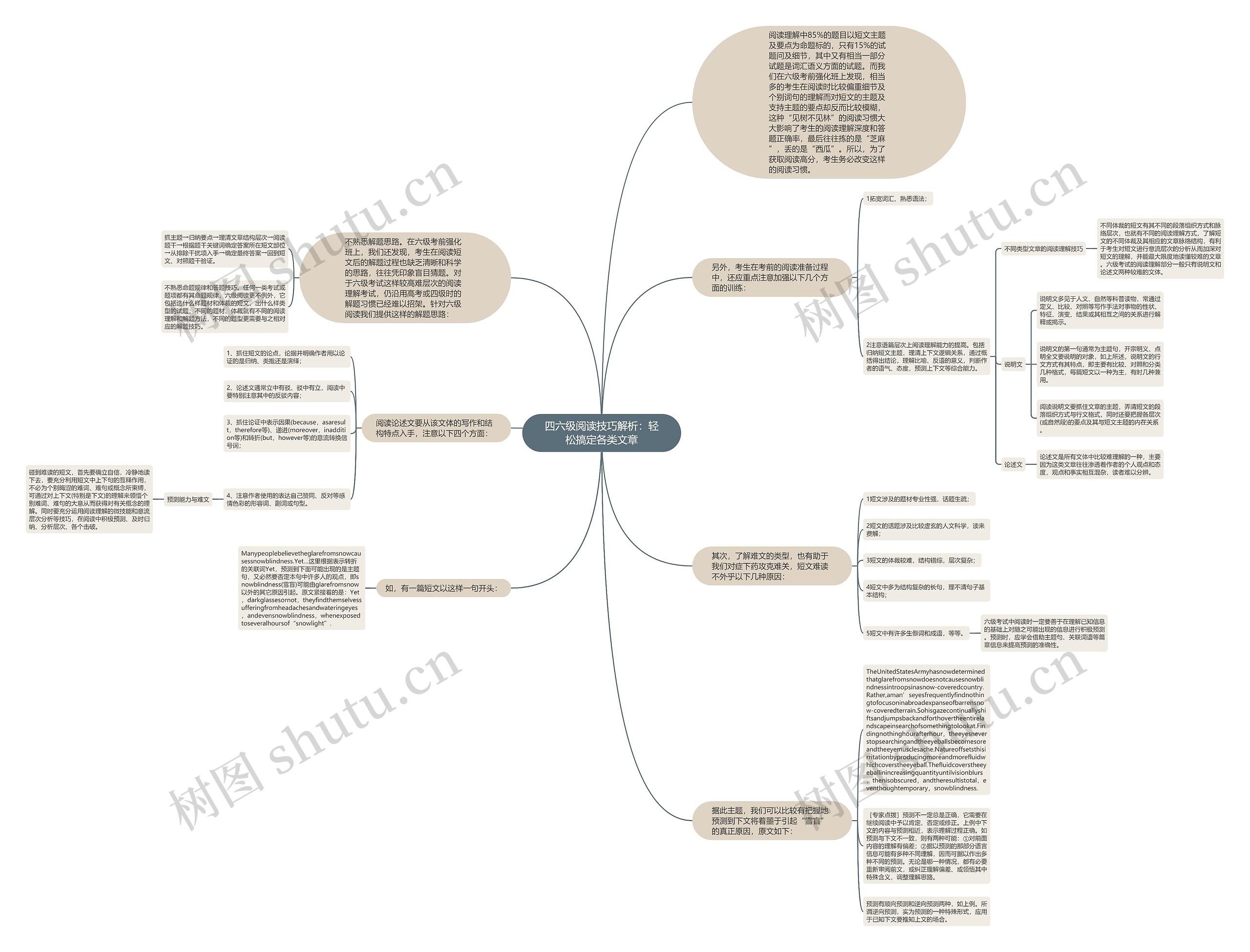 四六级阅读技巧解析：轻松搞定各类文章思维导图