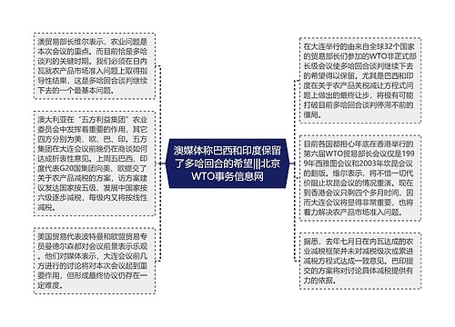 澳媒体称巴西和印度保留了多哈回合的希望|||北京WTO事务信息网