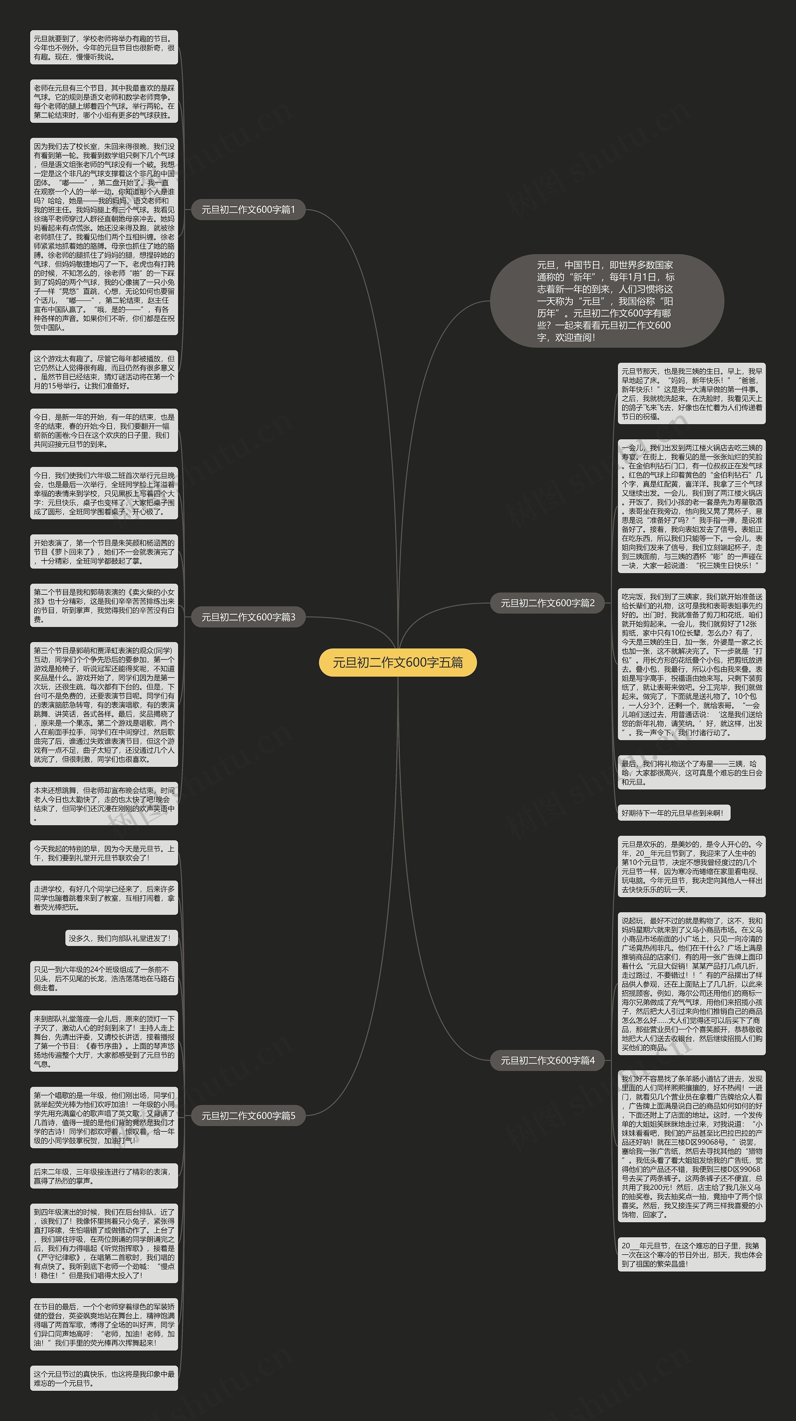 元旦初二作文600字五篇思维导图