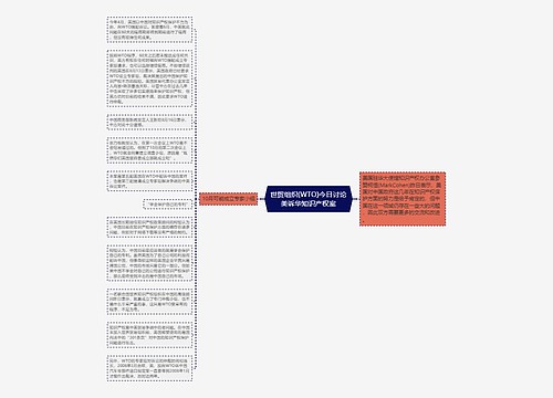 世贸组织(WTO)今日讨论美诉华知识产权案