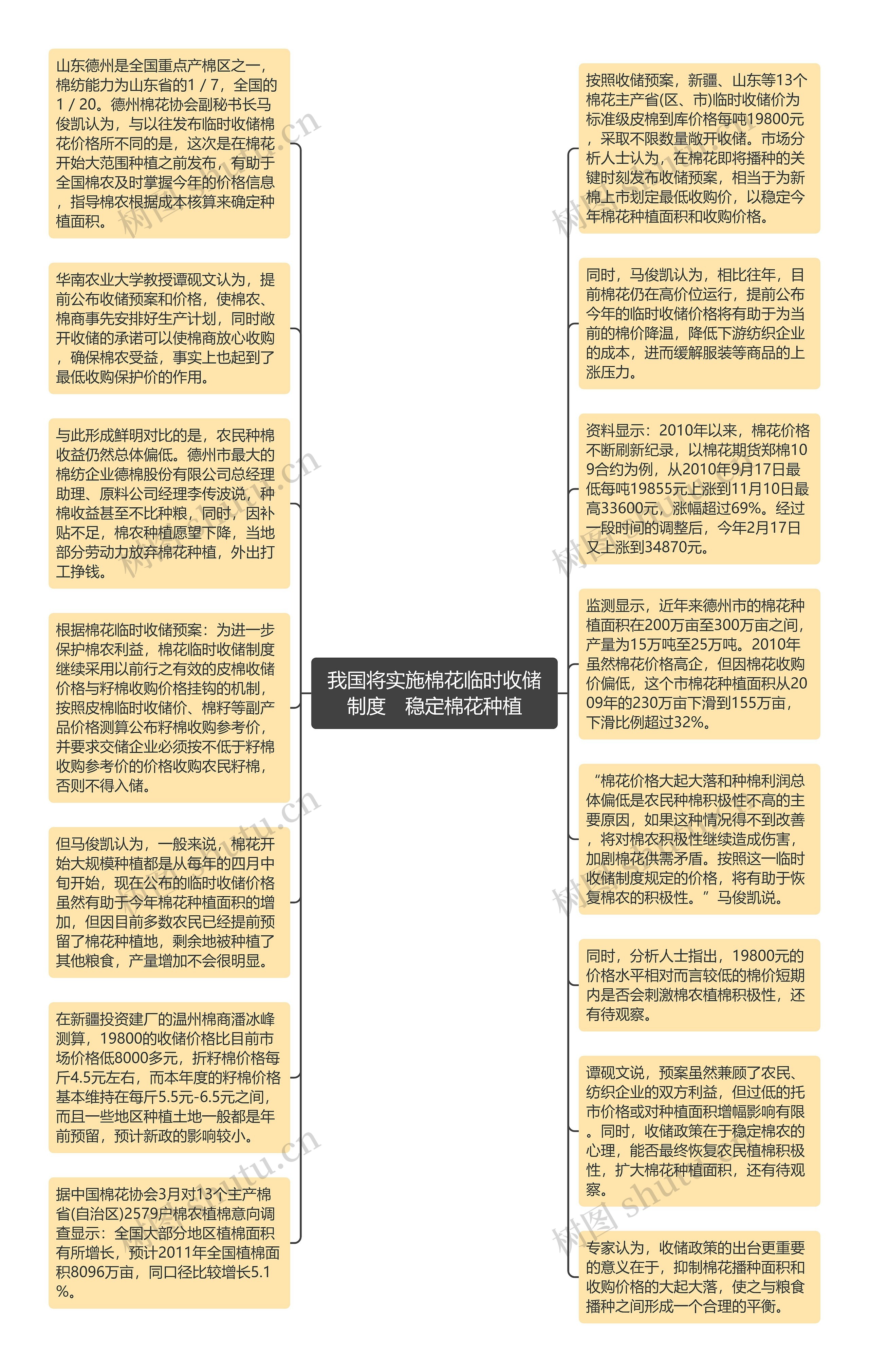 我国将实施棉花临时收储制度　稳定棉花种植