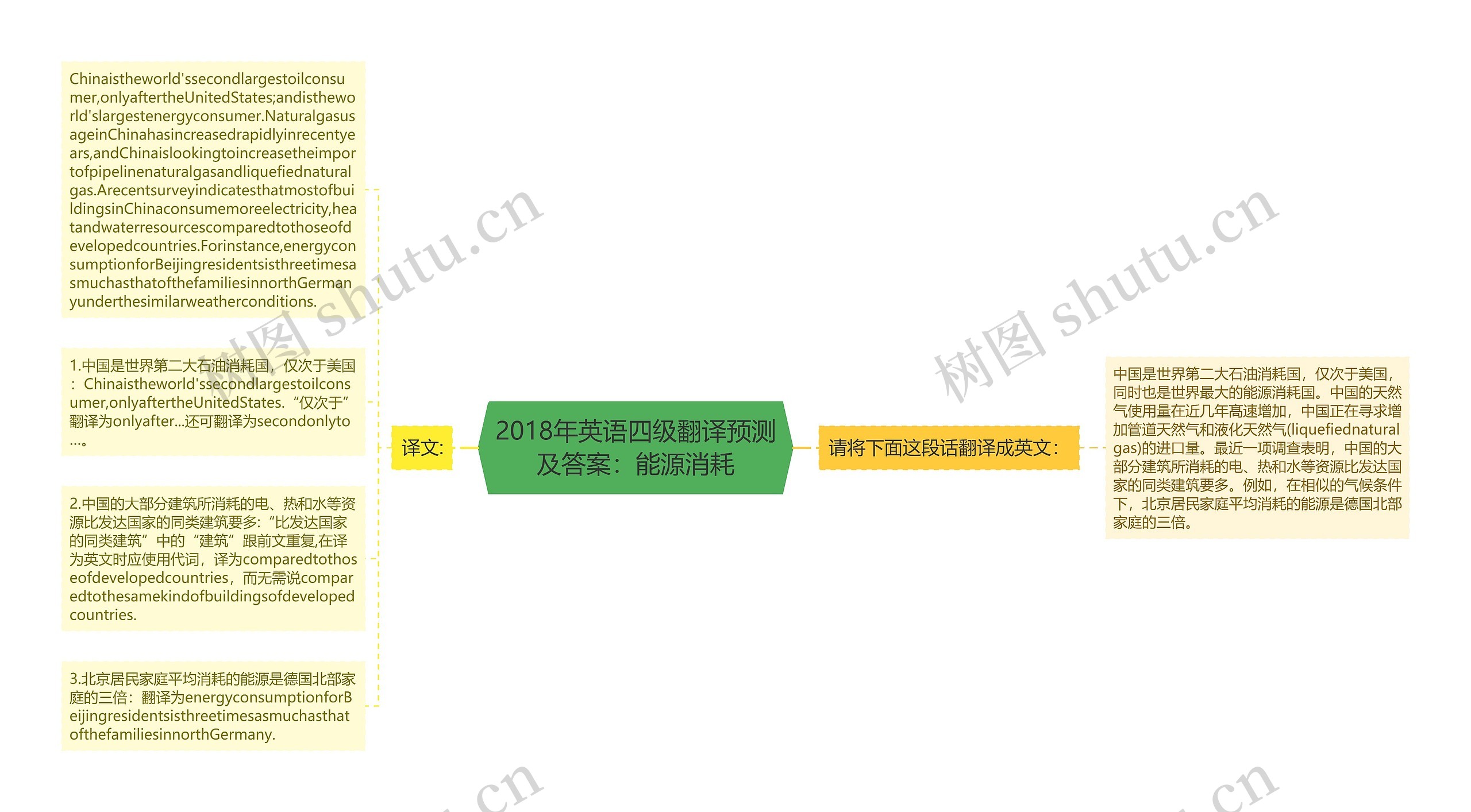 2018年英语四级翻译预测及答案：能源消耗