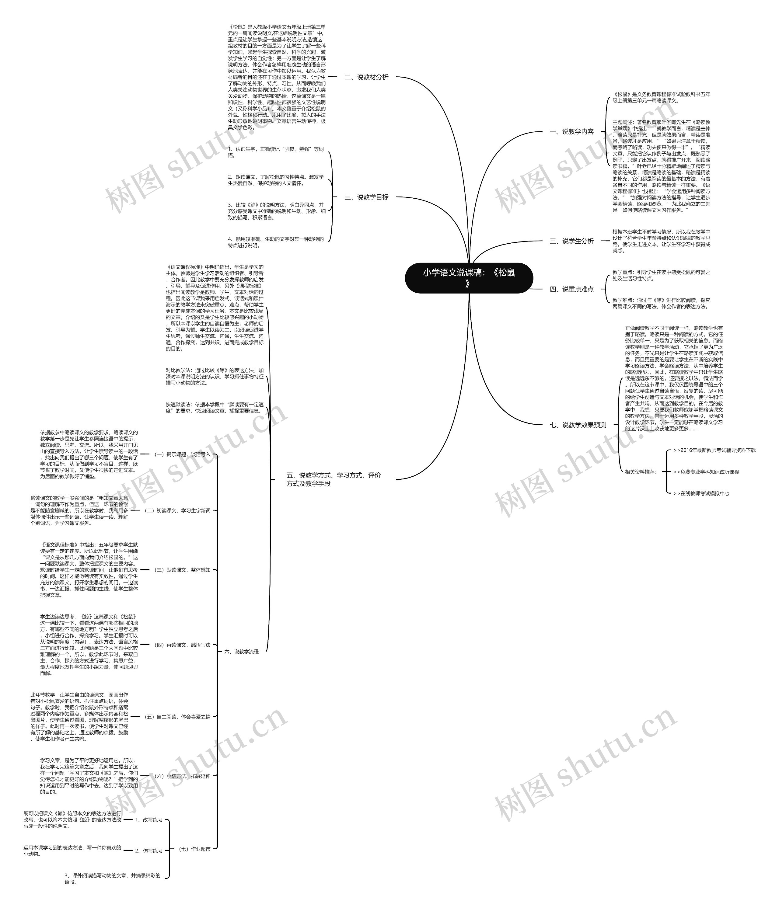 小学语文说课稿：《松鼠》思维导图