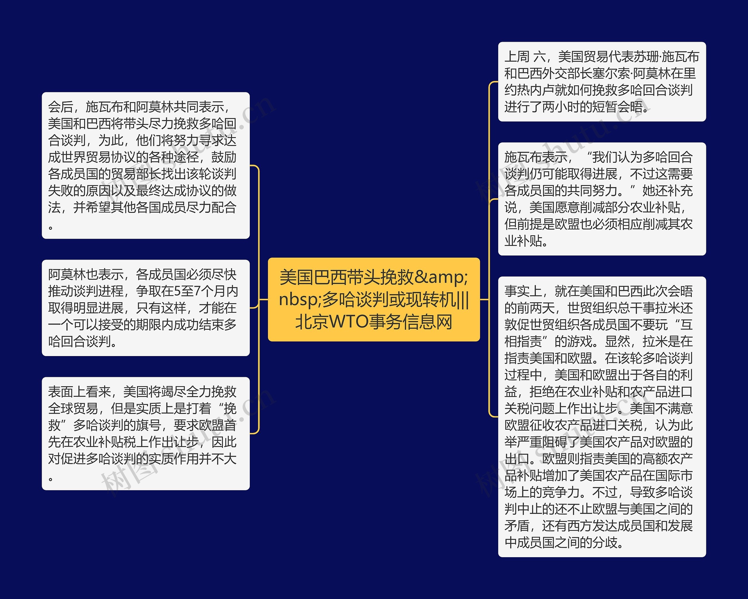 美国巴西带头挽救&amp;nbsp;多哈谈判或现转机|||北京WTO事务信息网思维导图