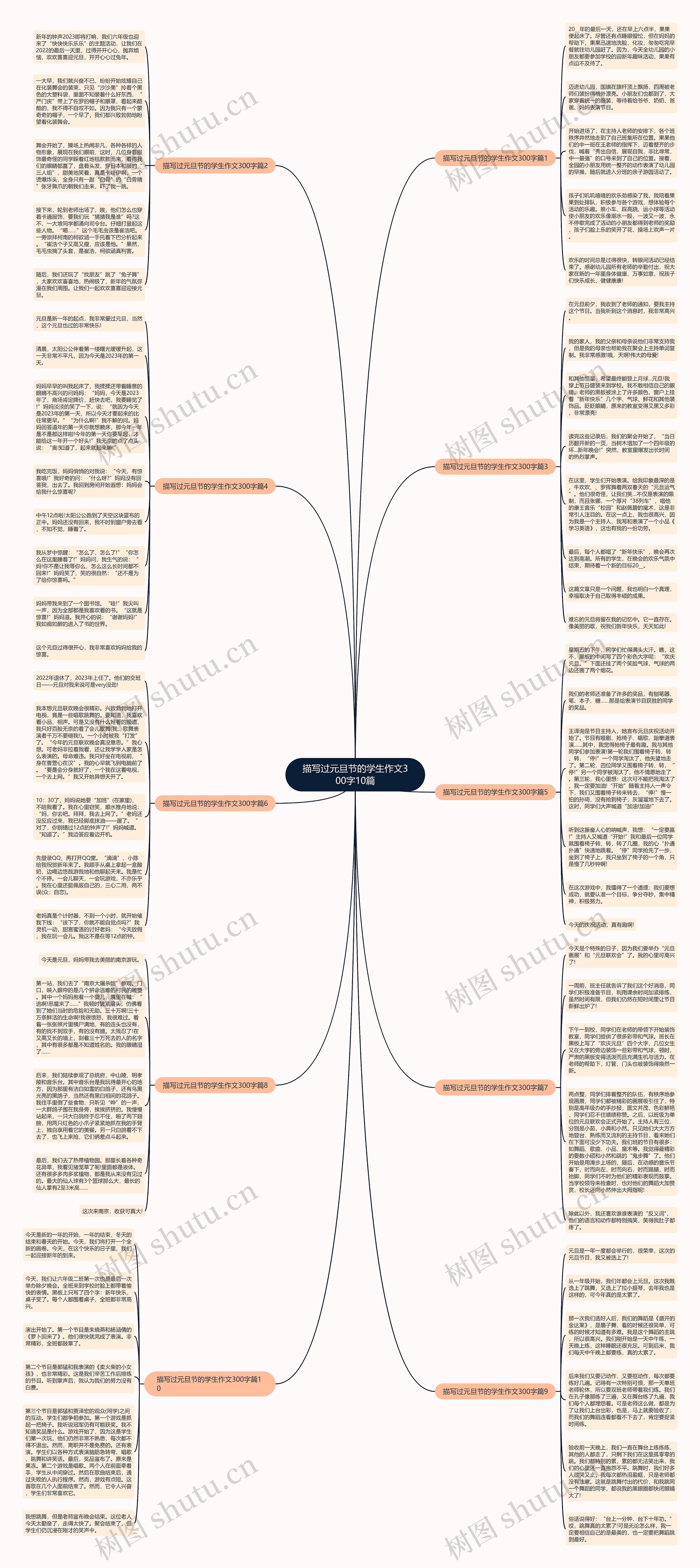 描写过元旦节的学生作文300字10篇思维导图