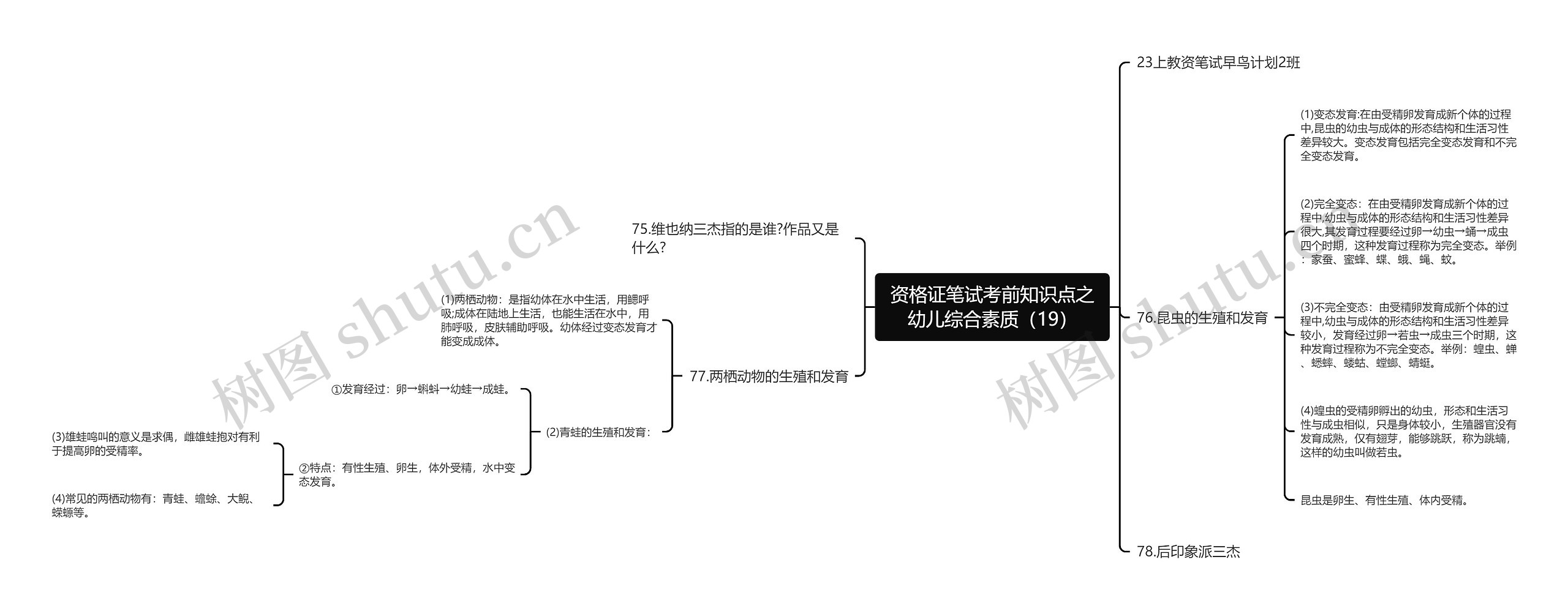 资格证笔试考前知识点之幼儿综合素质（19）