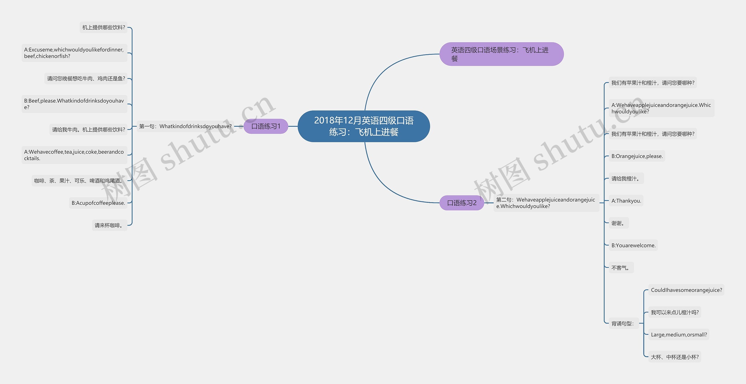 2018年12月英语四级口语练习：飞机上进餐思维导图