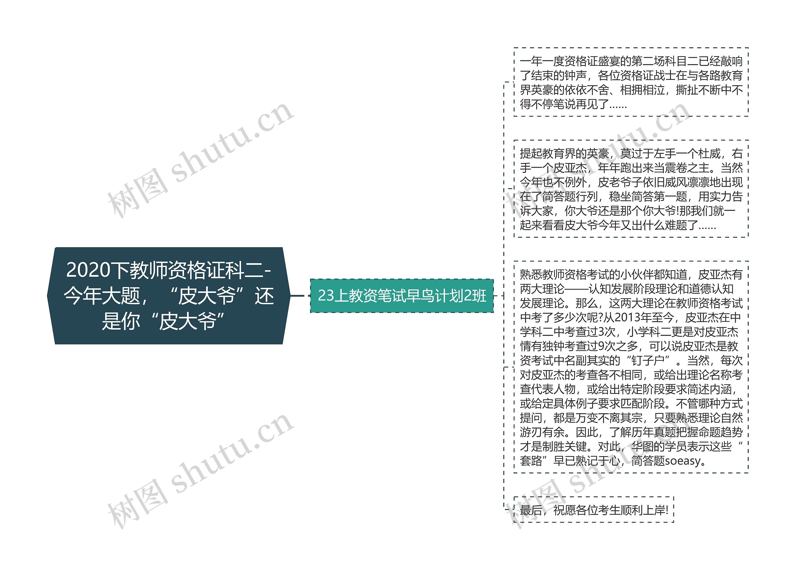 2020下教师资格证科二-今年大题，“皮大爷”还是你“皮大爷”思维导图