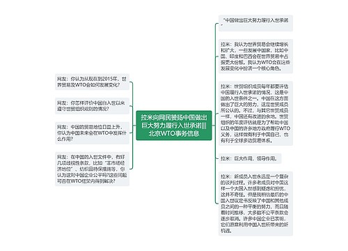 拉米向网民赞扬中国做出巨大努力履行入世承诺|||北京WTO事务信息