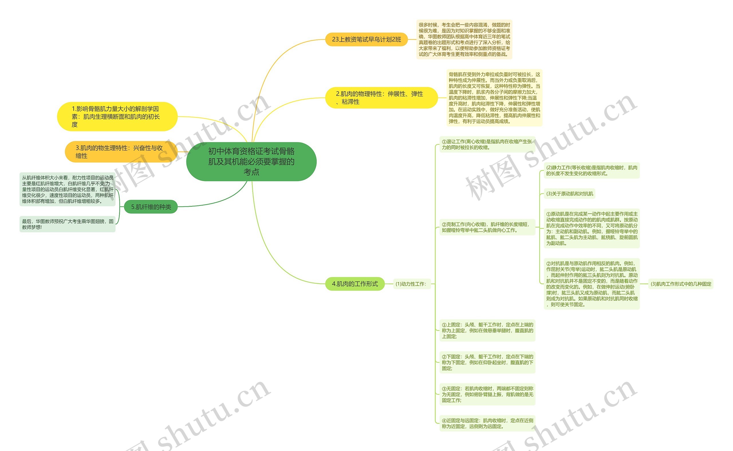 初中体育资格证考试骨骼肌及其机能必须要掌握的考点思维导图