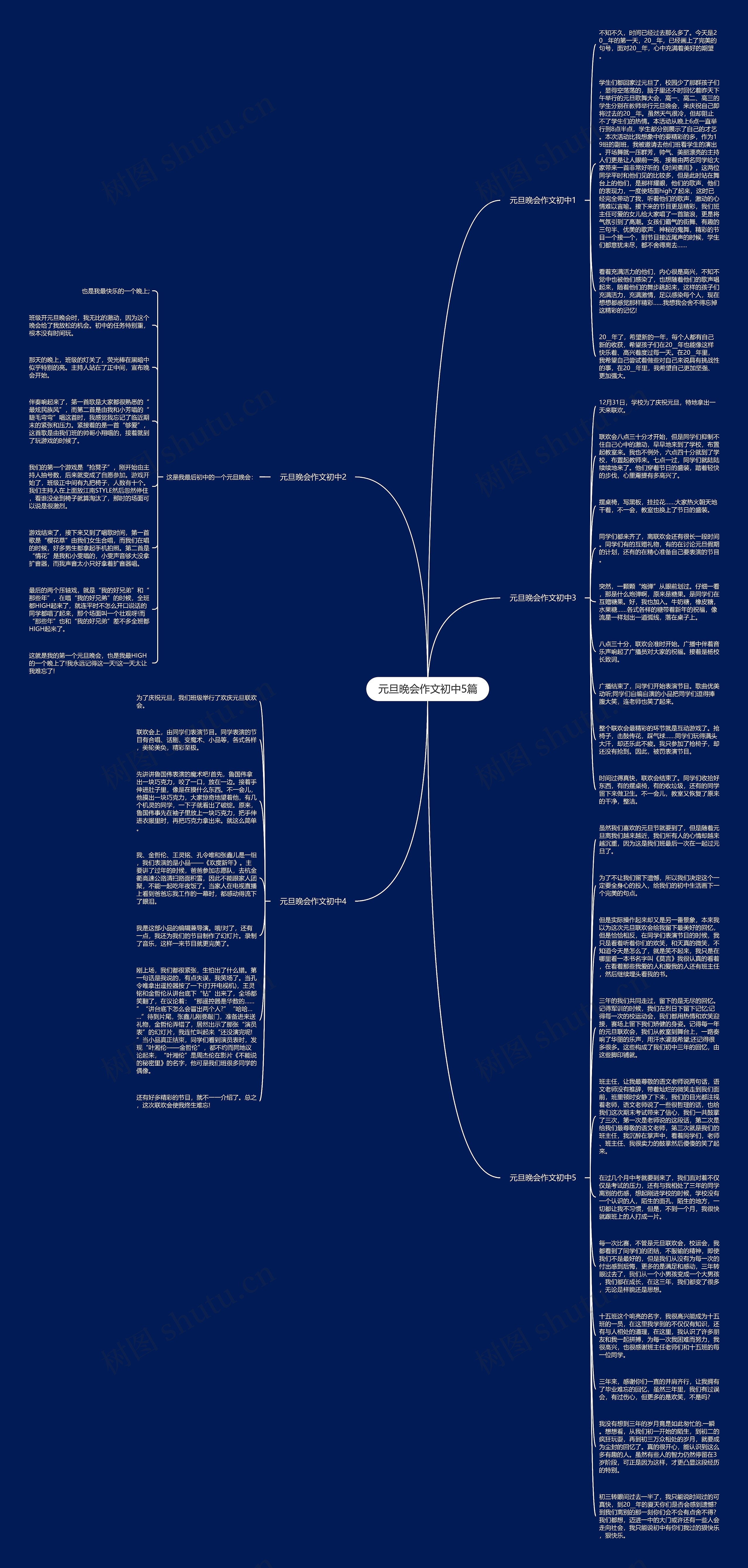 元旦晚会作文初中5篇思维导图