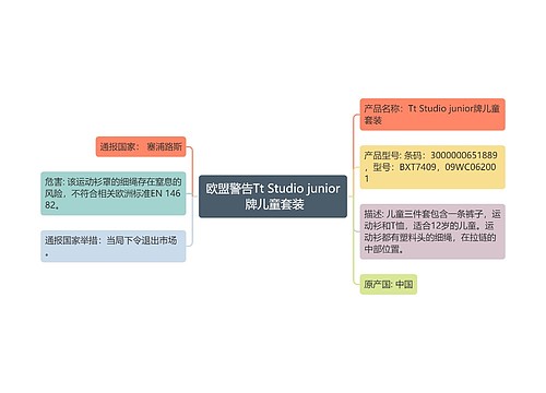 欧盟警告Tt Studio junior 牌儿童套装