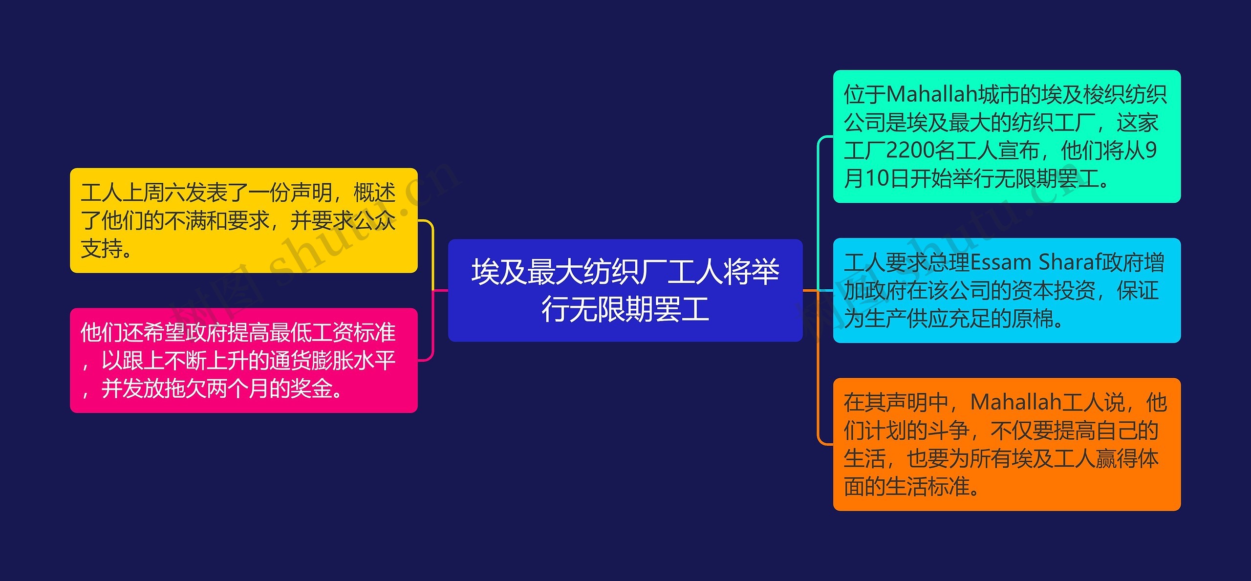 埃及最大纺织厂工人将举行无限期罢工思维导图