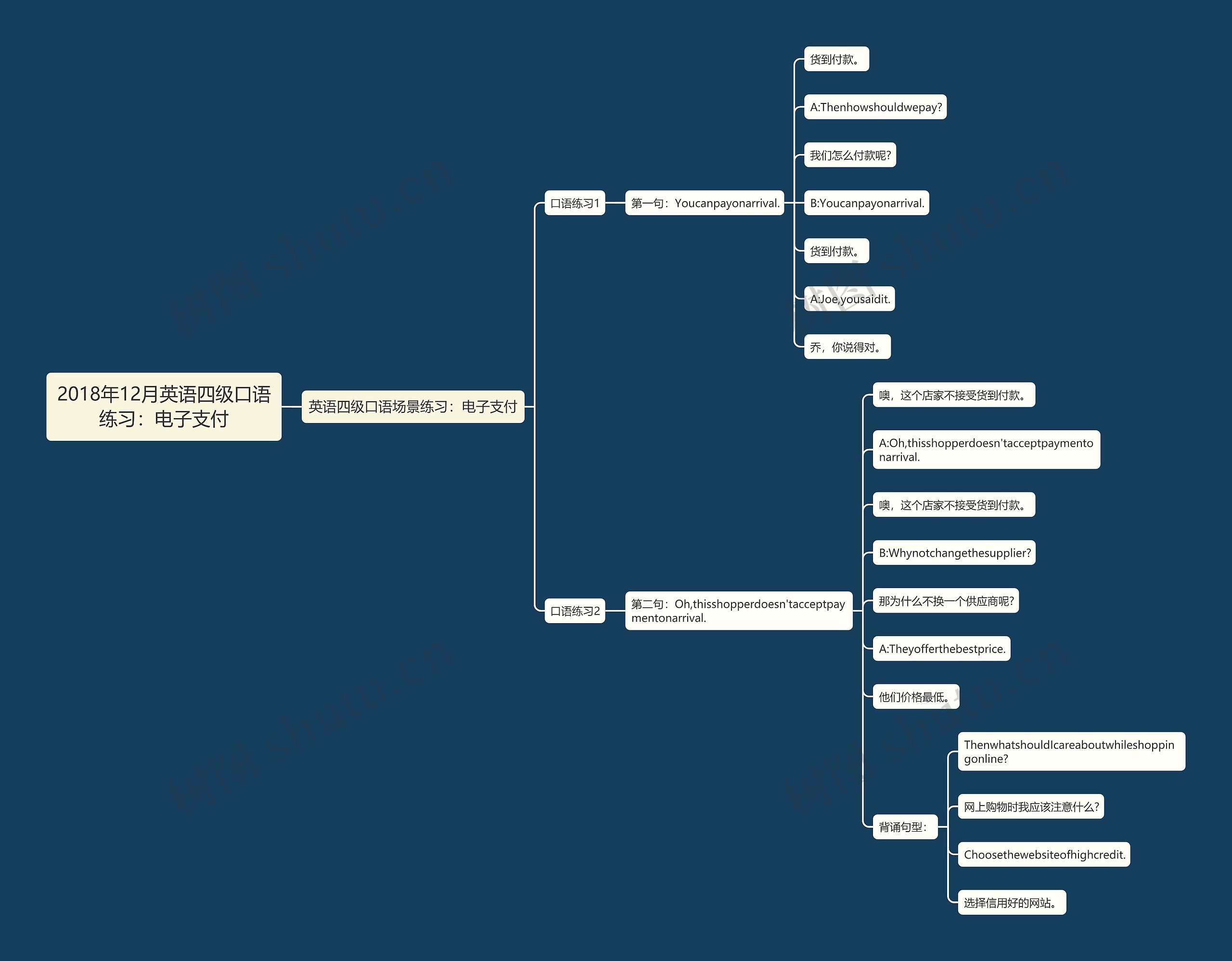2018年12月英语四级口语练习：电子支付思维导图