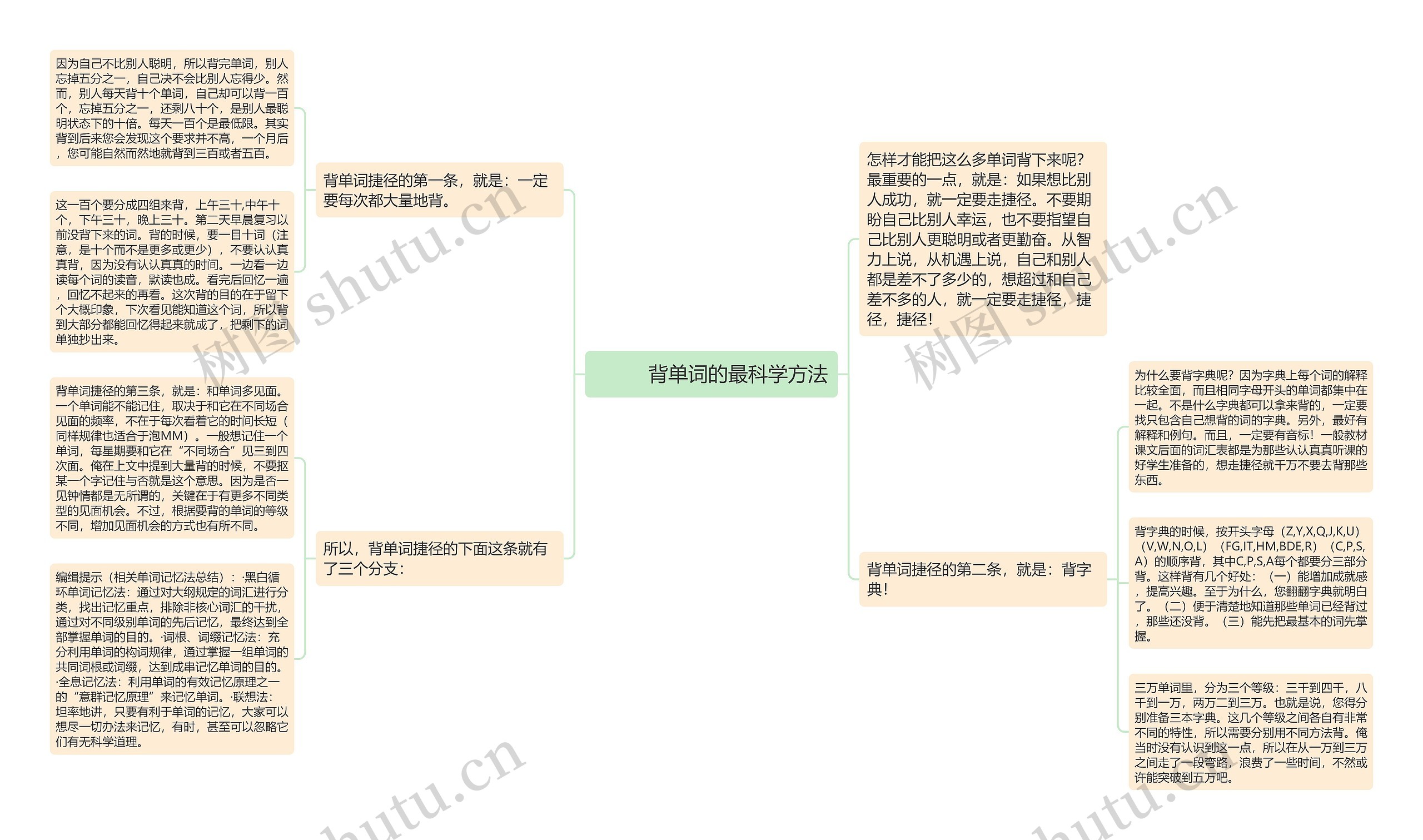         	背单词的最科学方法思维导图