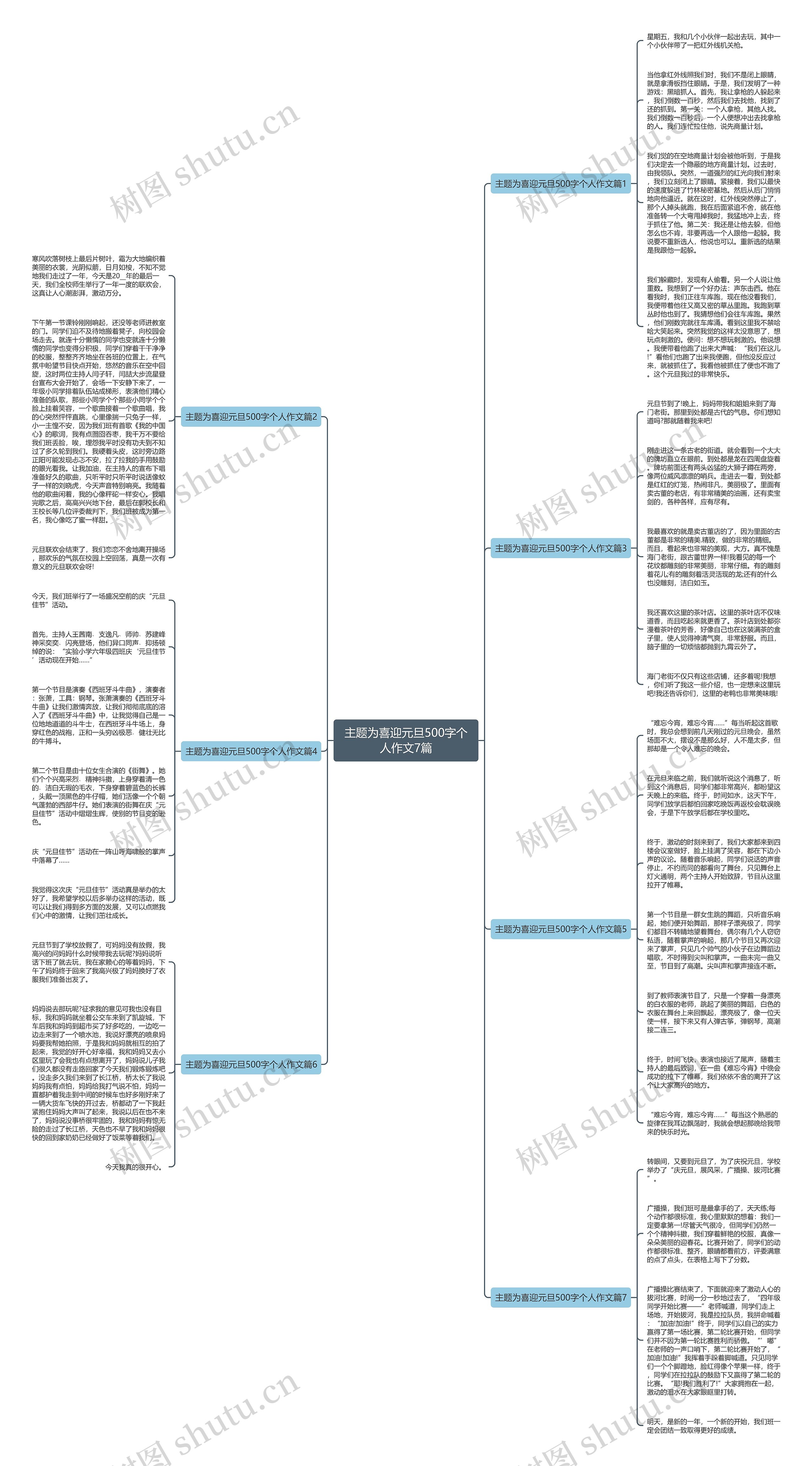 主题为喜迎元旦500字个人作文7篇思维导图