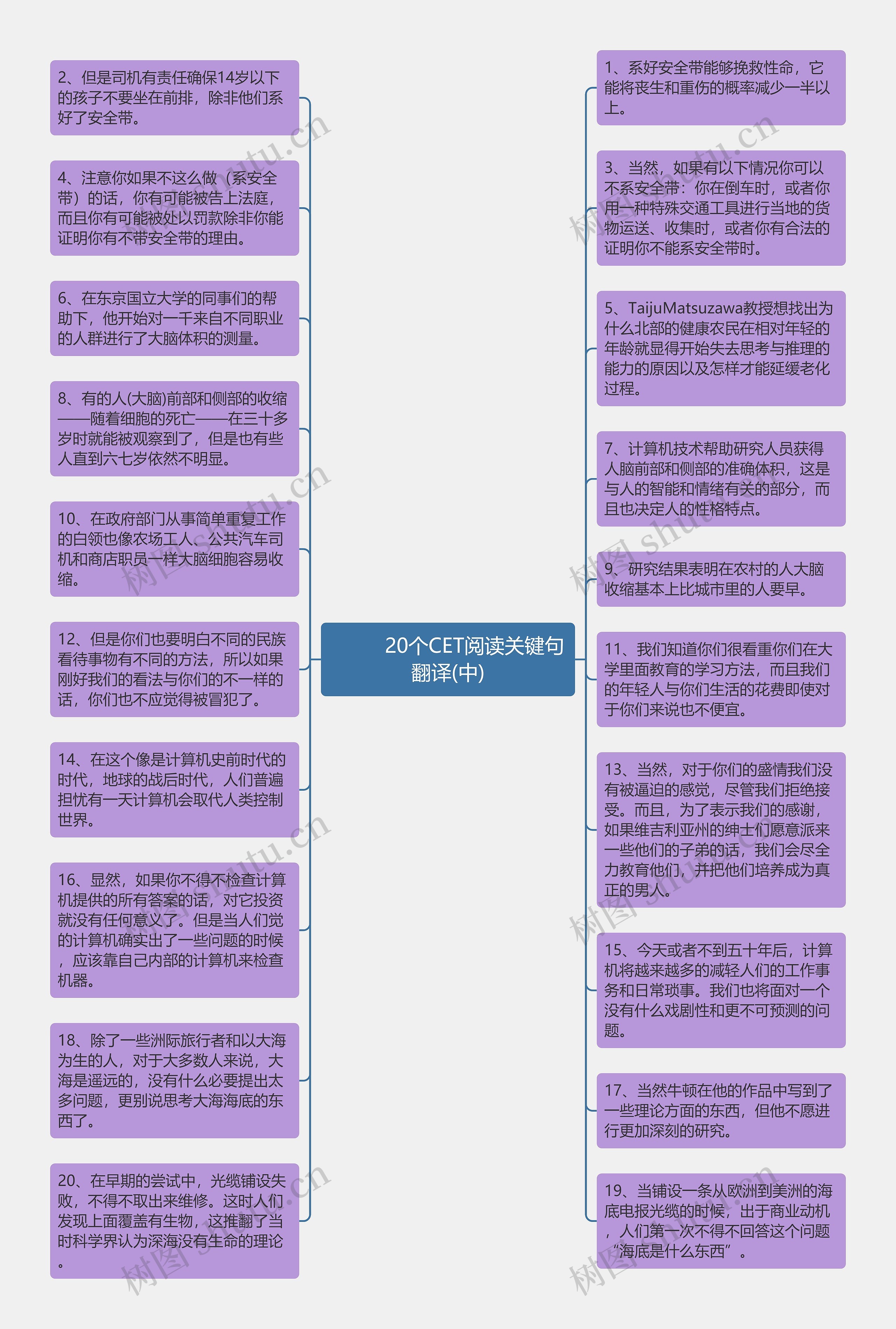         	20个CET阅读关键句翻译(中)