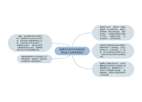 梅德韦杰夫吁尽快接受俄罗斯加入世界贸易组织