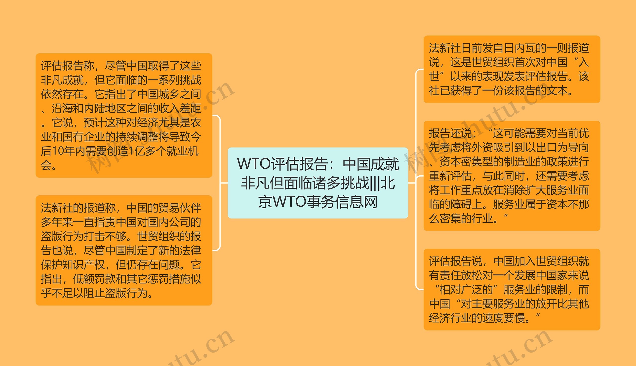 WTO评估报告：中国成就非凡但面临诸多挑战|||北京WTO事务信息网思维导图