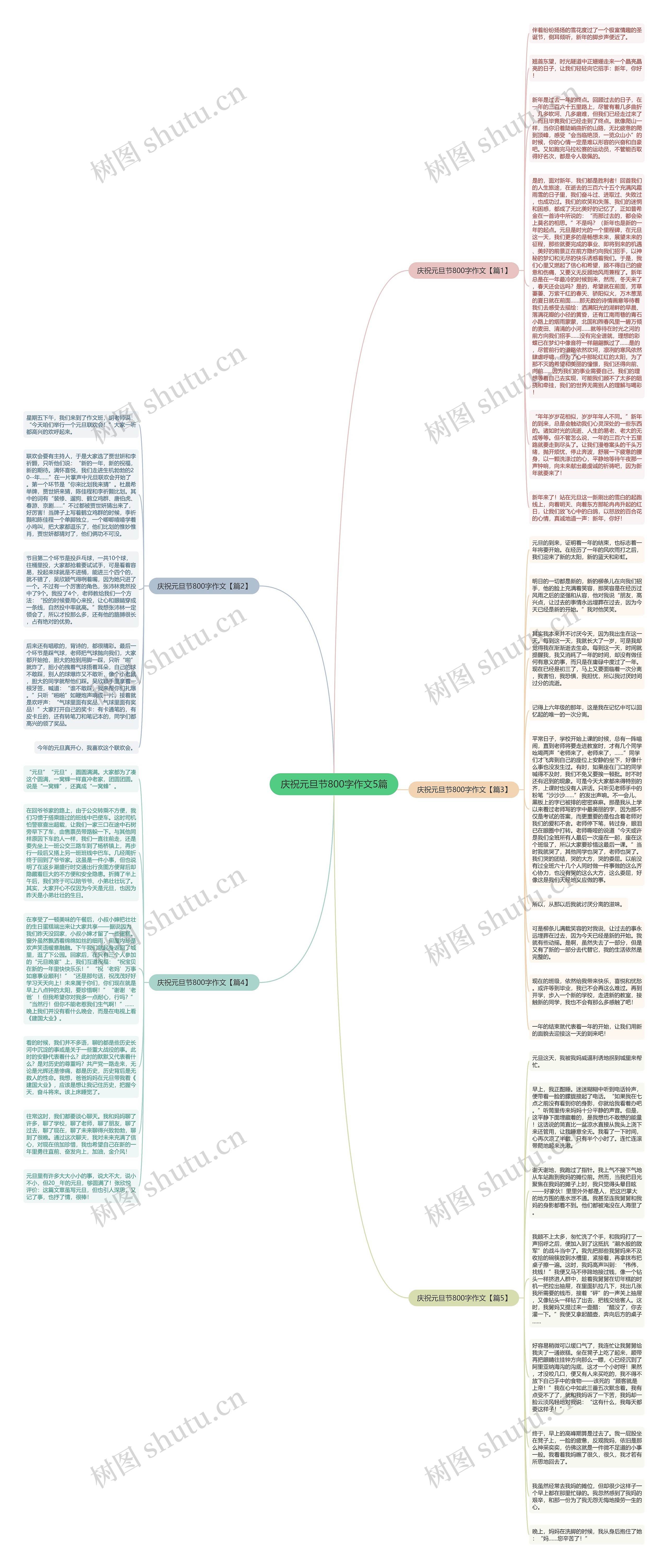 庆祝元旦节800字作文5篇思维导图