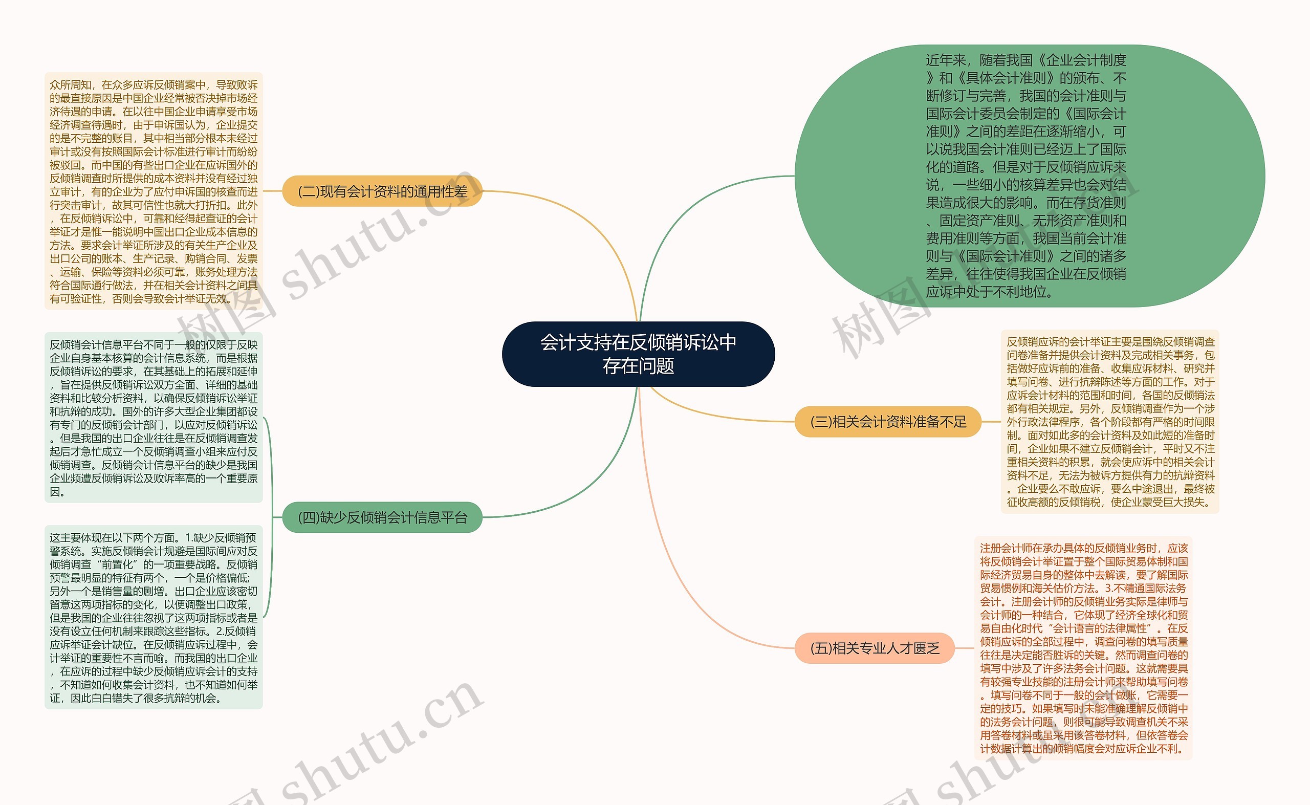 会计支持在反倾销诉讼中存在问题思维导图