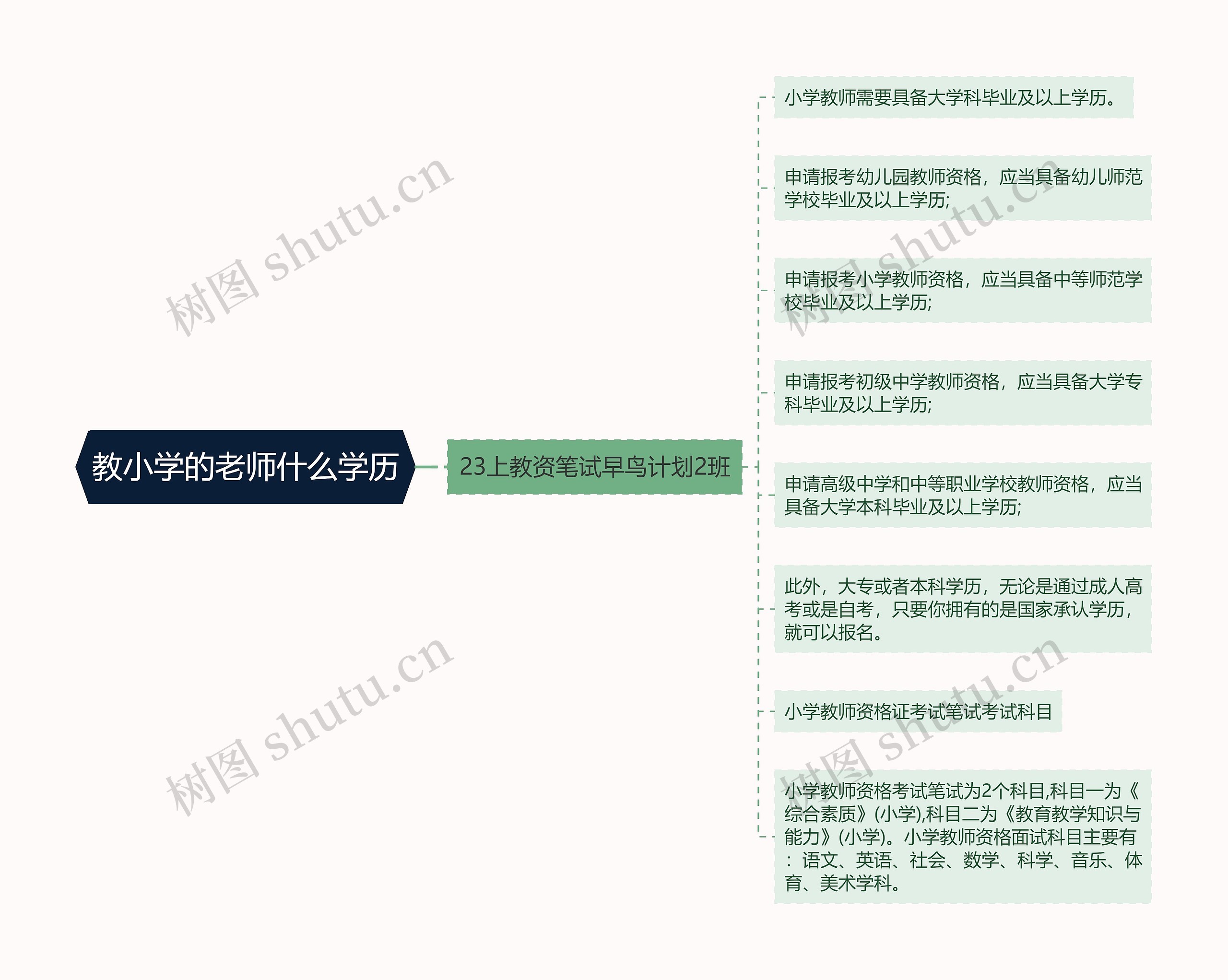 教小学的老师什么学历思维导图